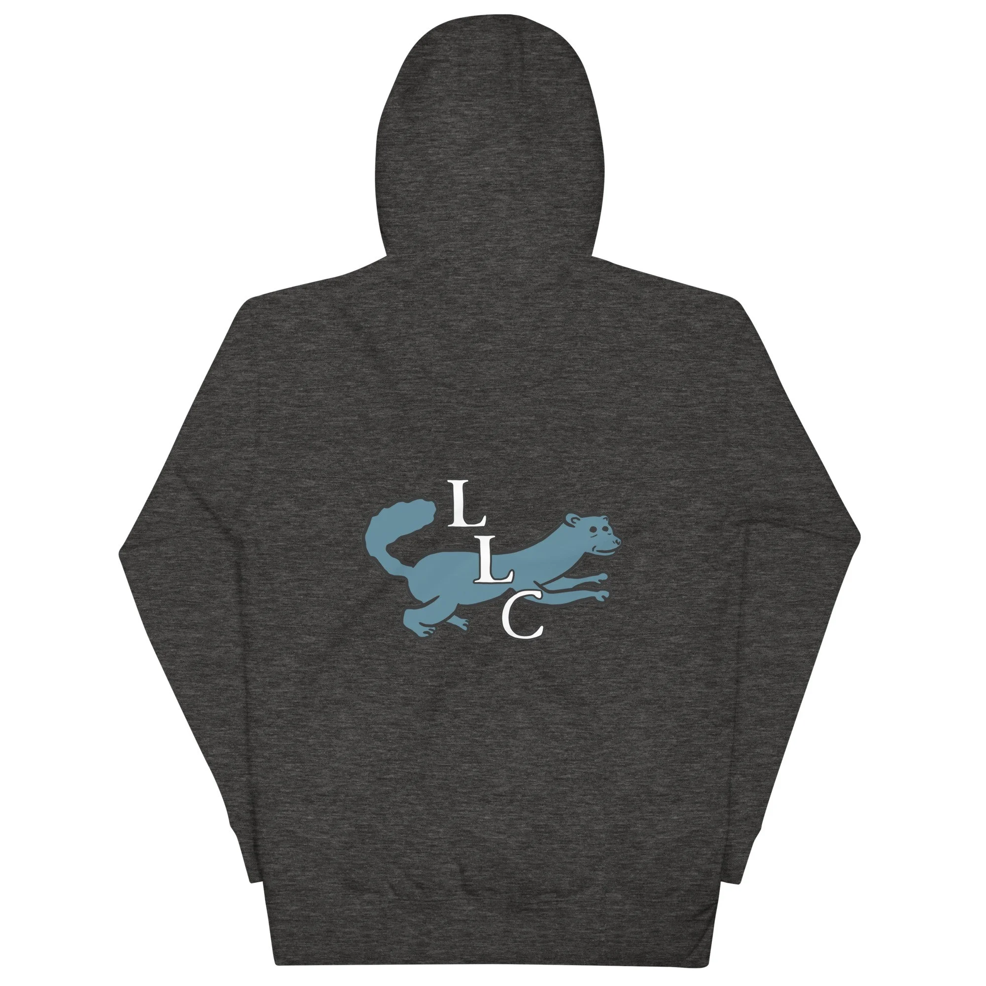unisex-premium-pullover-hoodie-charcoal-heather-back-6ae1875dbdc9a.jpg