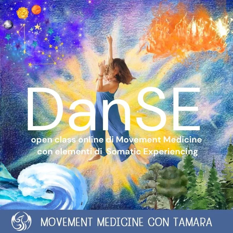 DanSE 