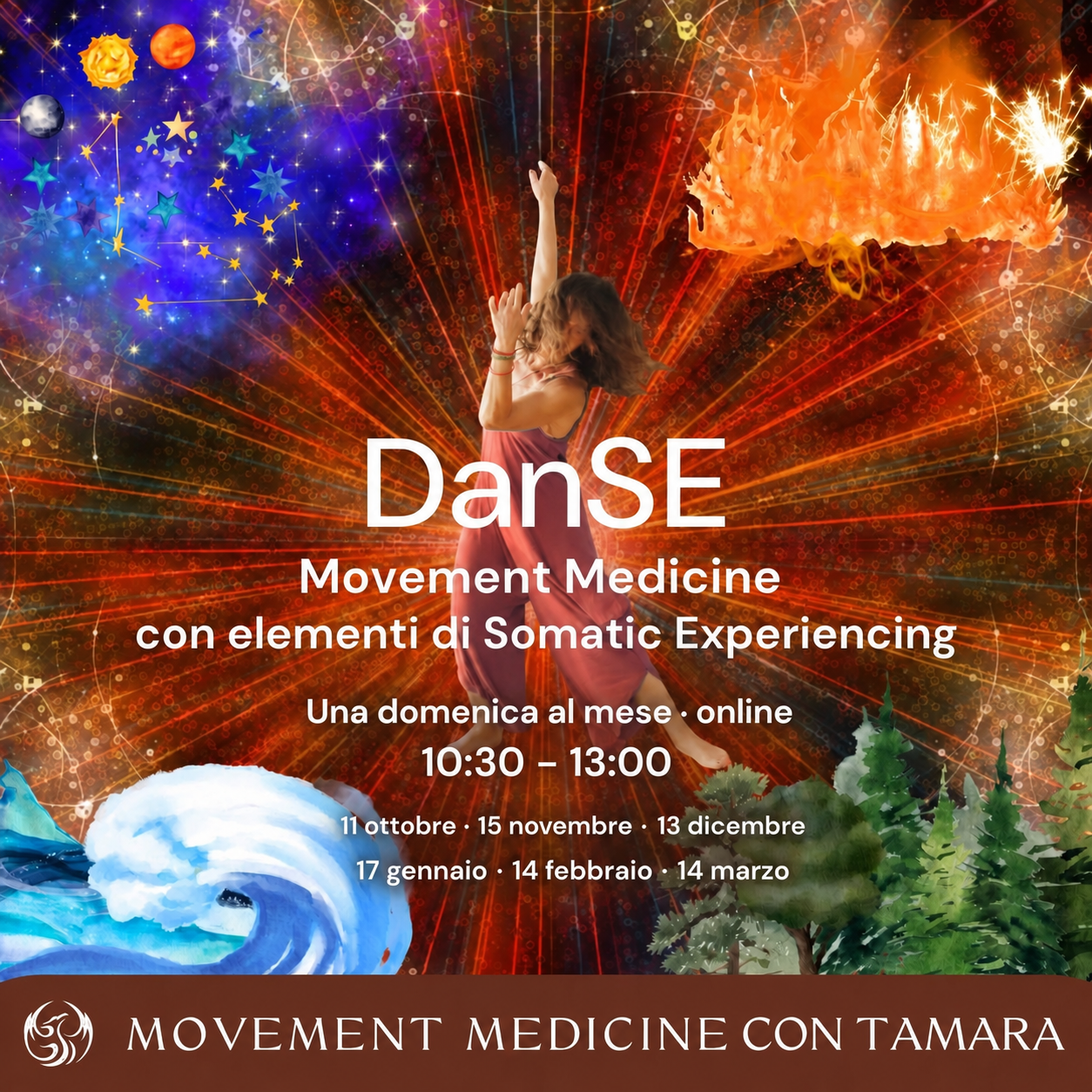 DanSE