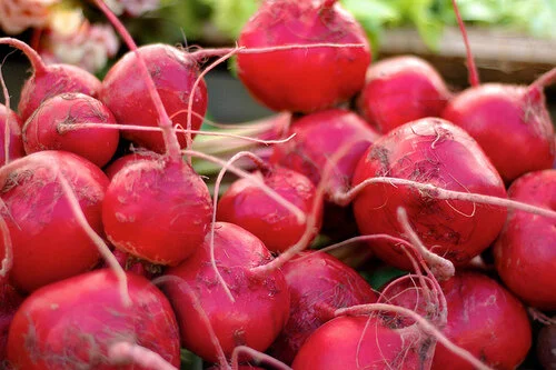 Thanksgiving Beet-Ginger Chutney