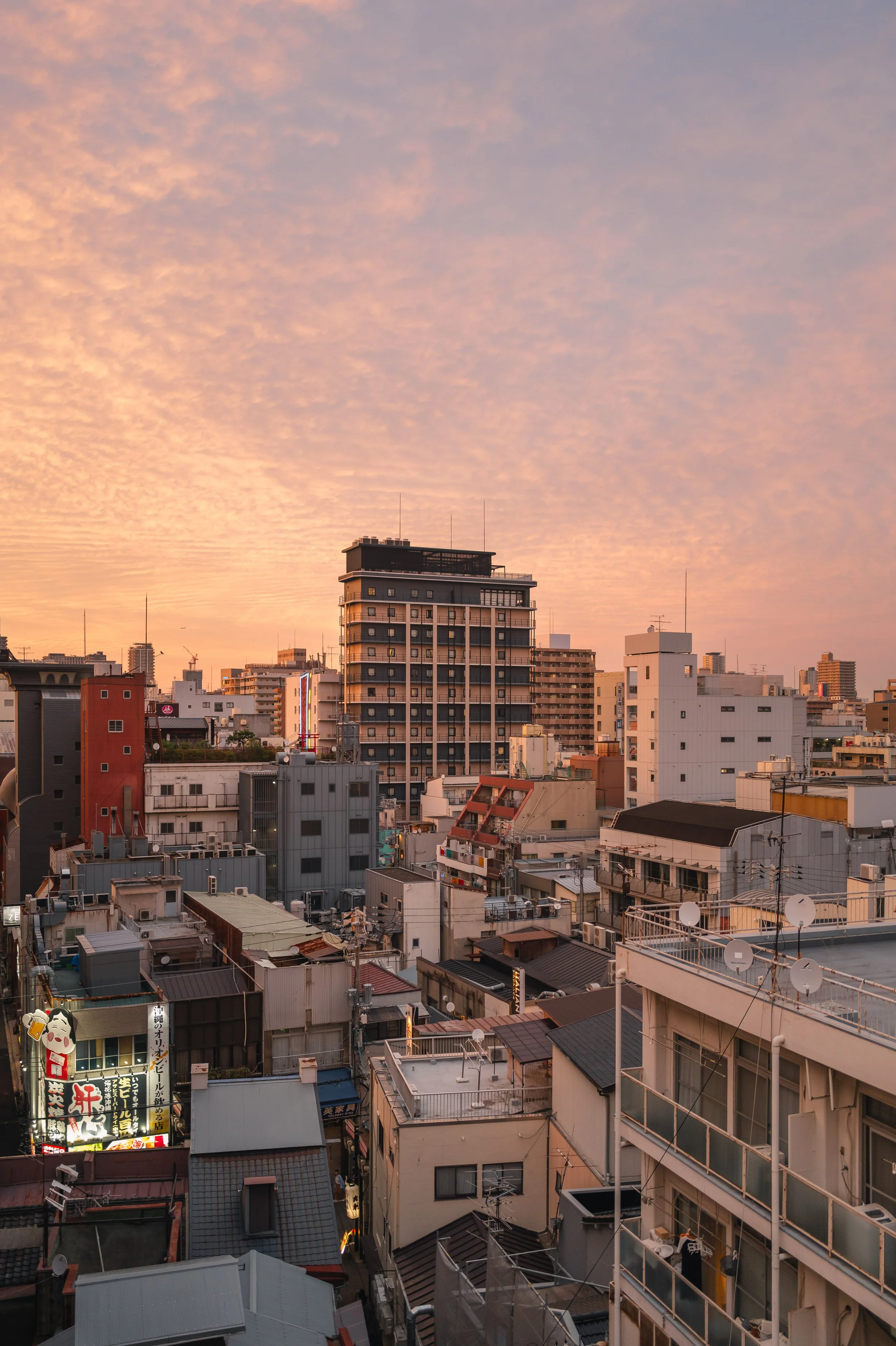 L1021075.jpg