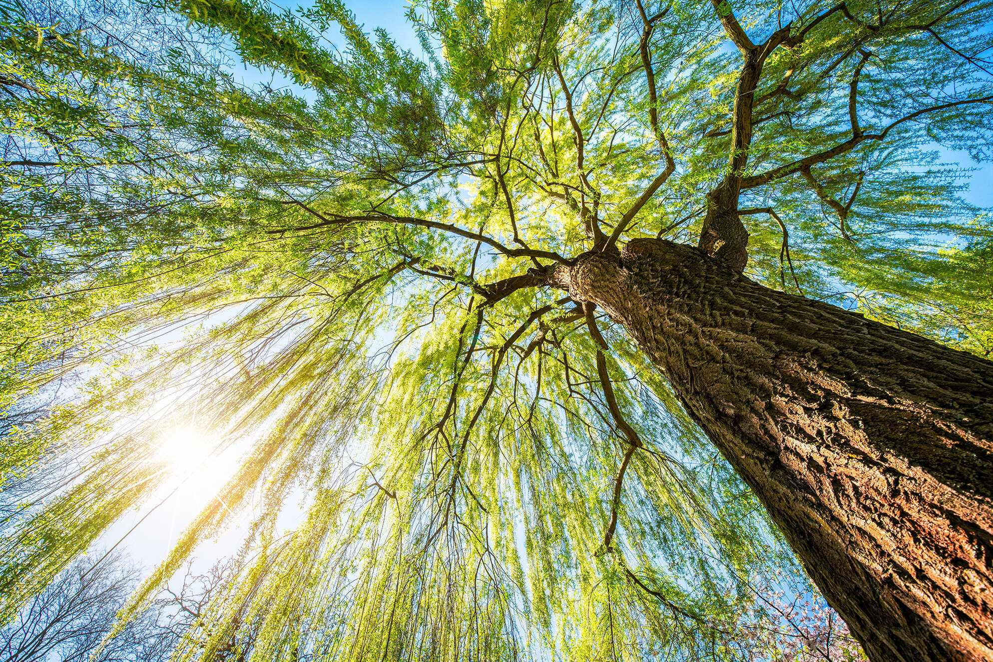 AdobeStock_192755530_Web.jpg
