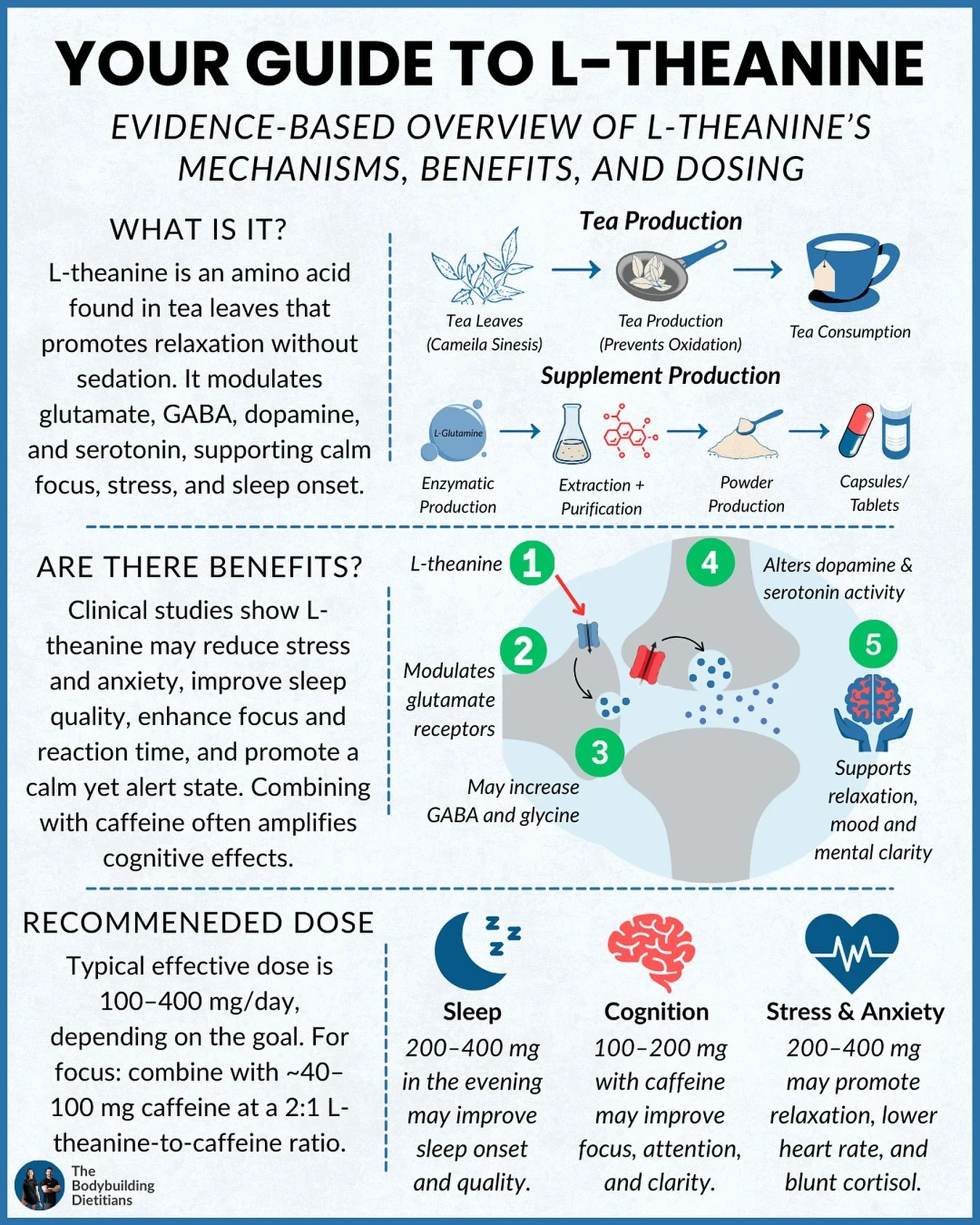Better sleep, calmer mind, sharper focus&hellip; can L-theanine really deliver it all?

L-theanine appears to promote relaxation without sedation, and in some contexts, may also improve aspects of cognitive performance. Unlike many calming agents, it