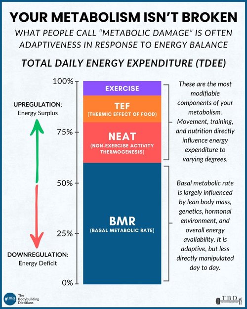 Why Fat Loss Slows: Understanding Metabolic Adaptation — The ...