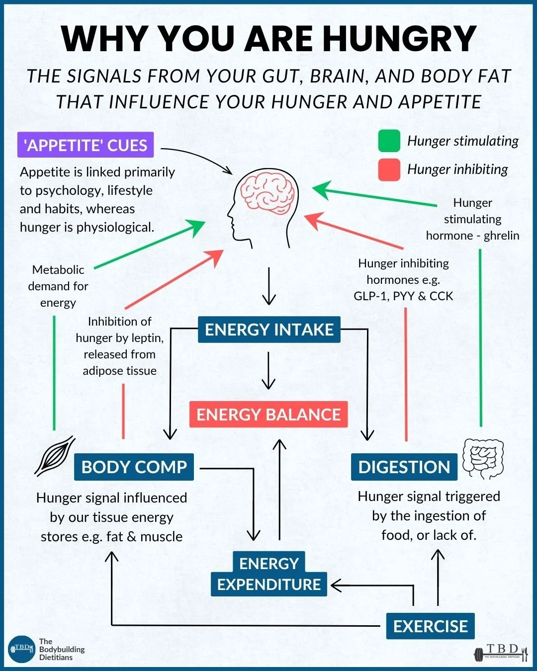 SCIENCE OF HUNGER.jpg