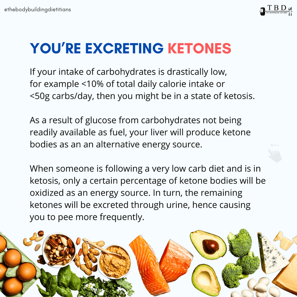 Why Do You Pee More When Losing Weight? — The Bodybuilding Dietitians