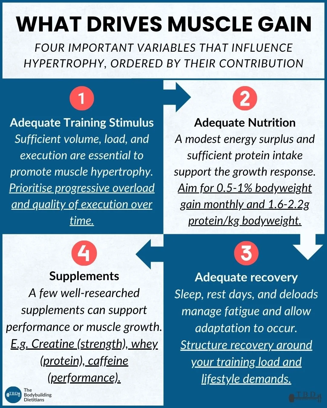 Muscle Growth Hierarchy (1).jpg