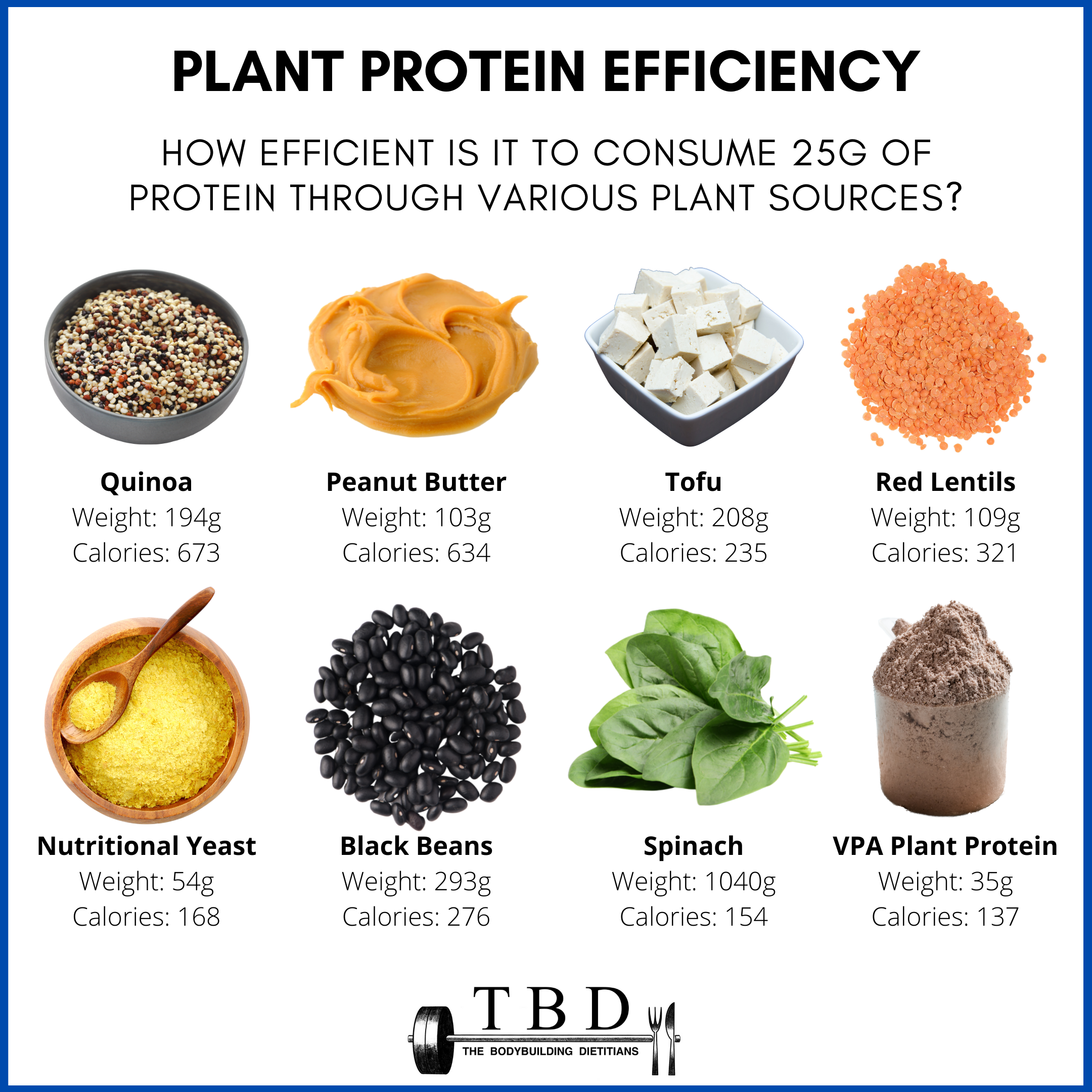 Vegan Protein Sources - How Are They? — Bodybuilding Dietitians