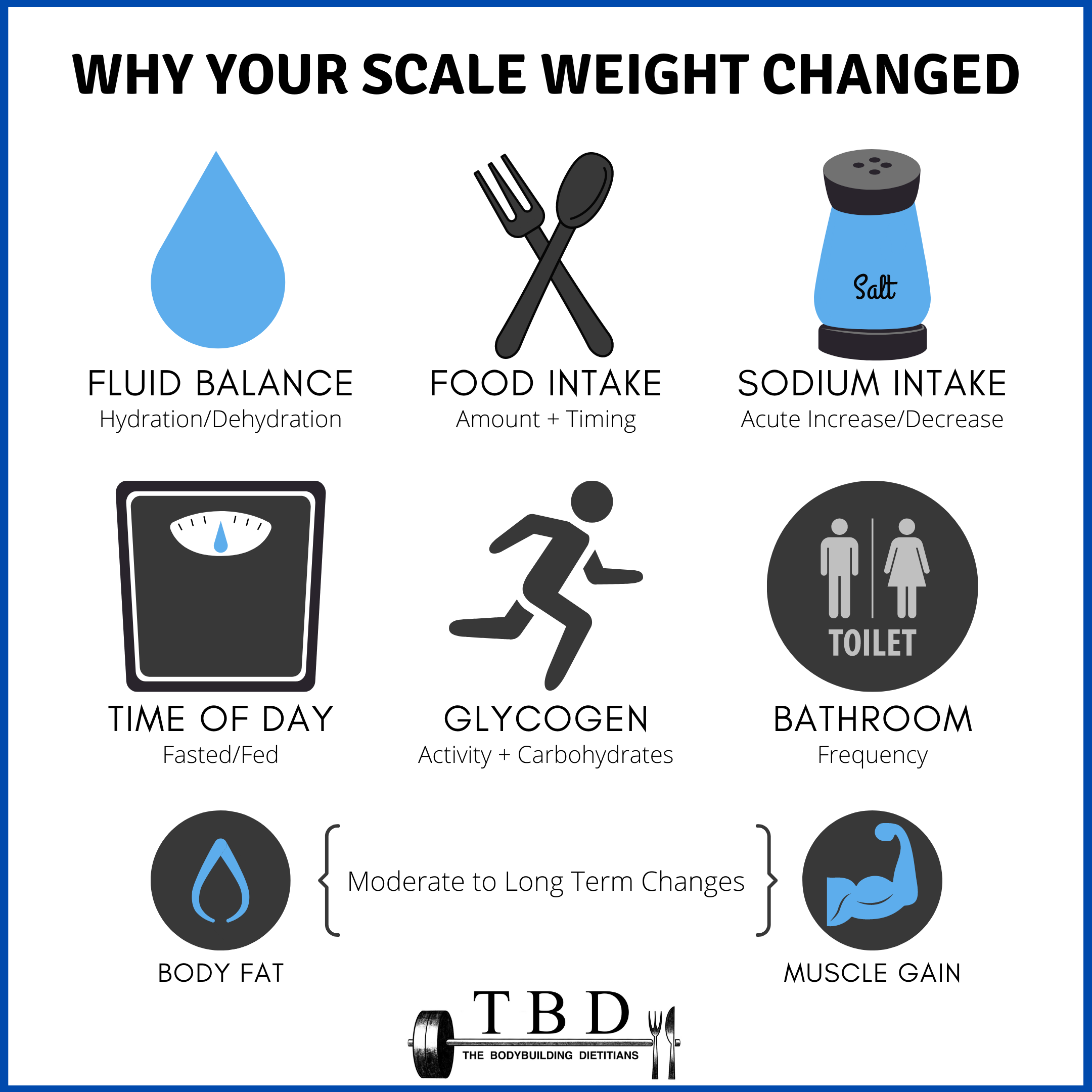 Is It Worth Investing in a Body Fat Scale?