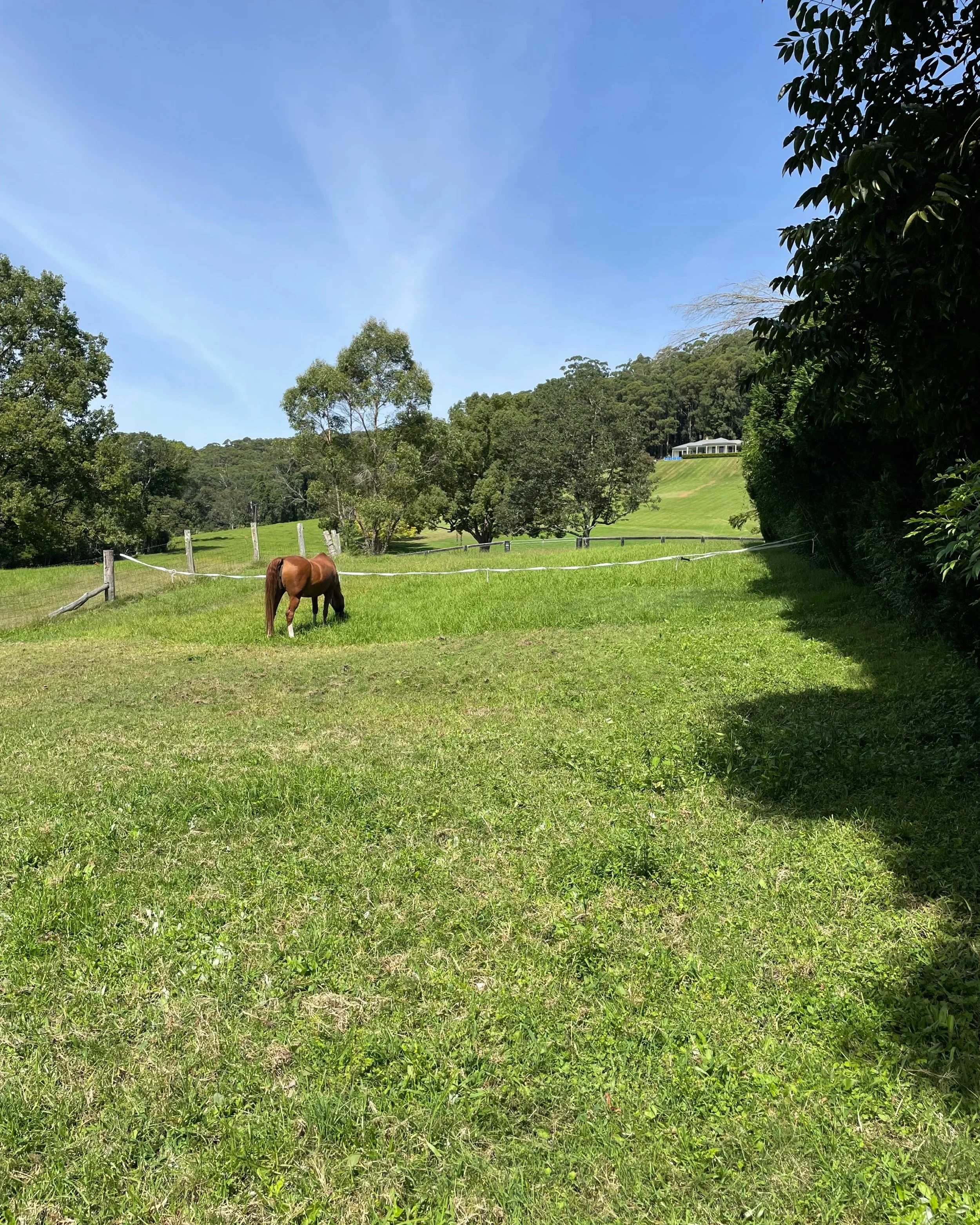 Change of Season = Change of Nutrition