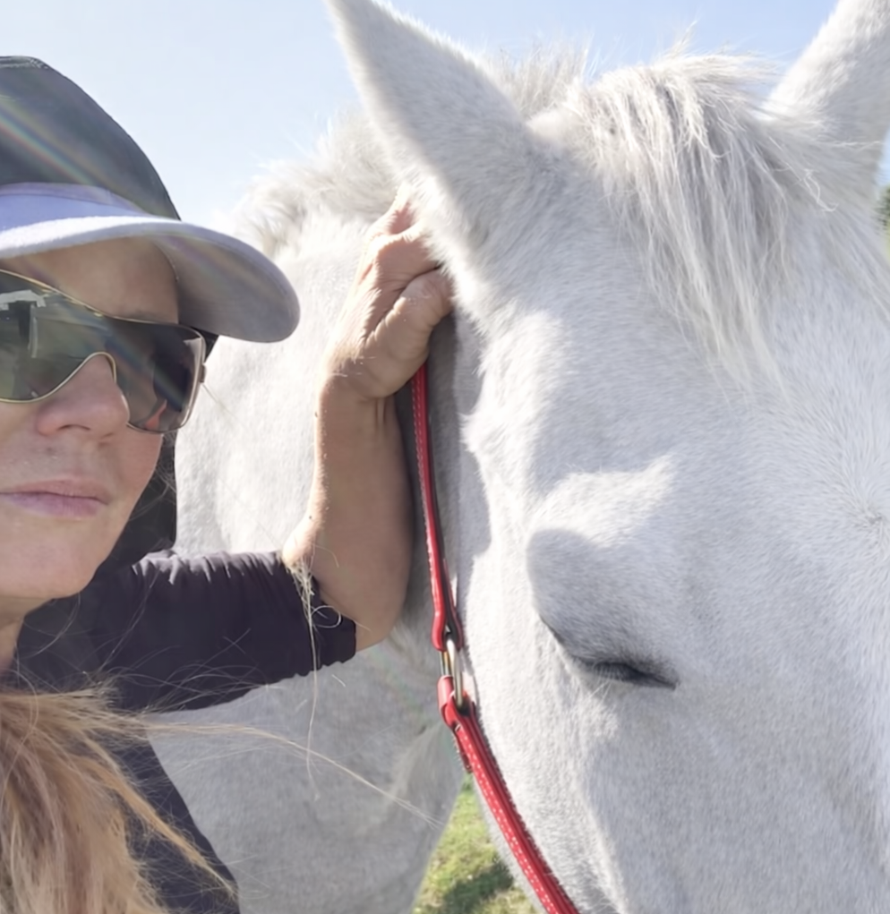 Some horses shout. Some horses whisper. Some horses stop trying to speak at all