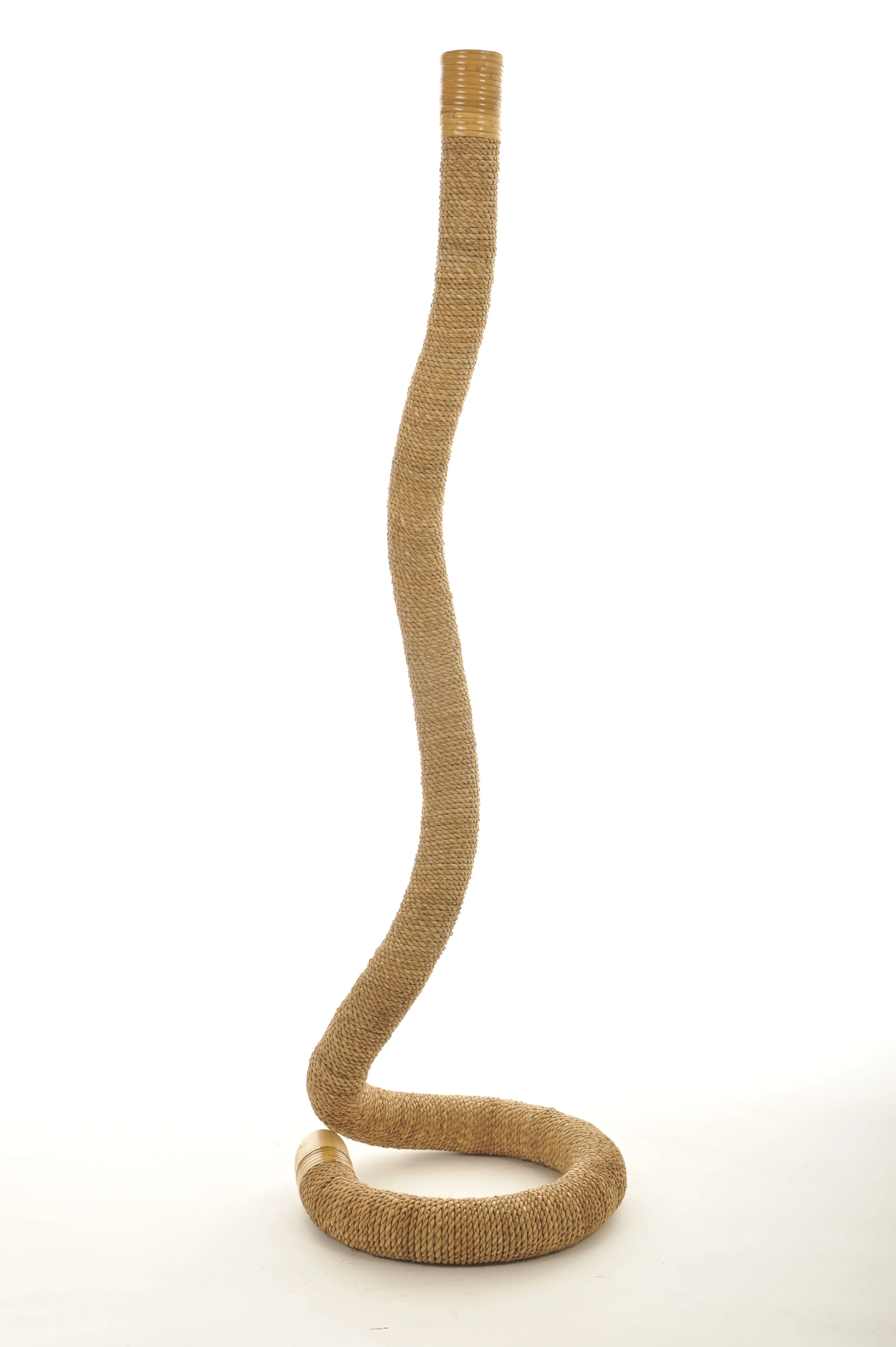 _DOL4371.JPG
