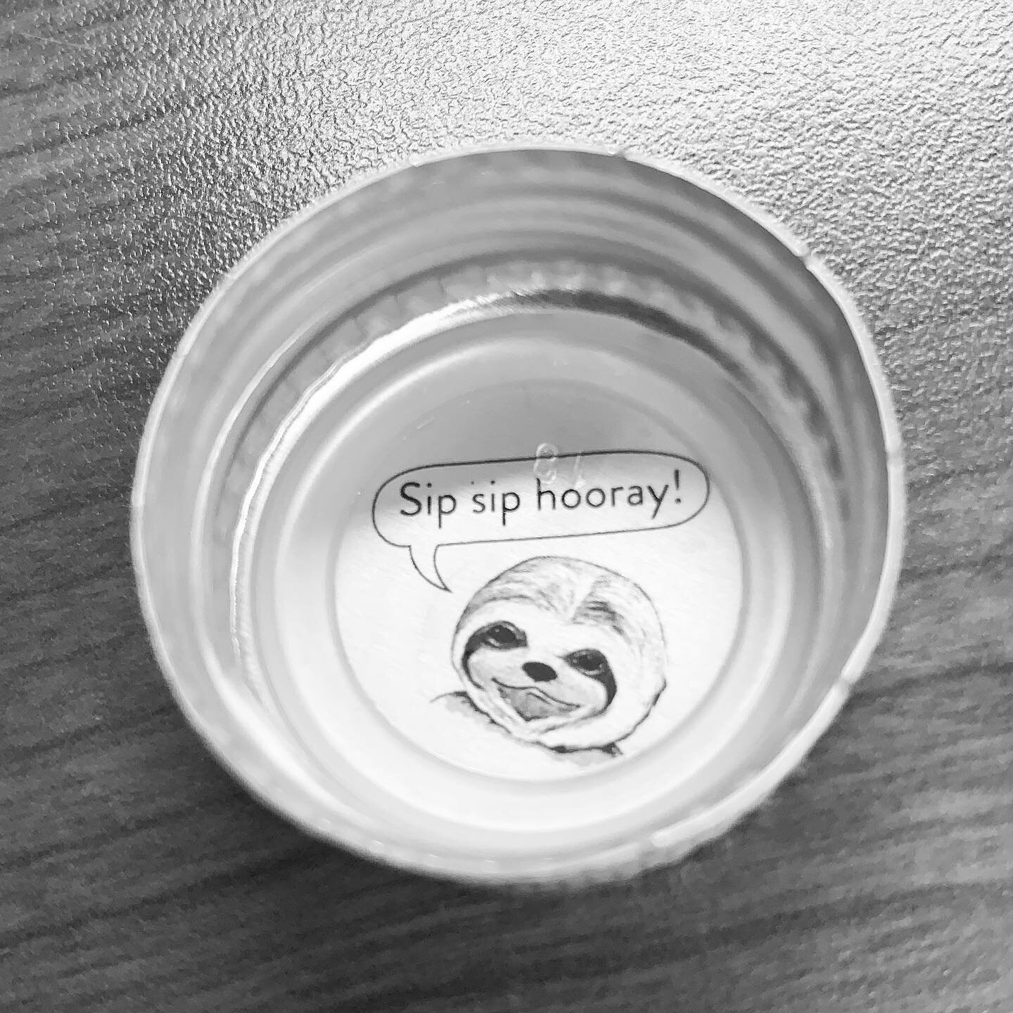 Somehow this just made my lunchtime. 🥰 #kombucha #slothlove #lunchtimesmiles