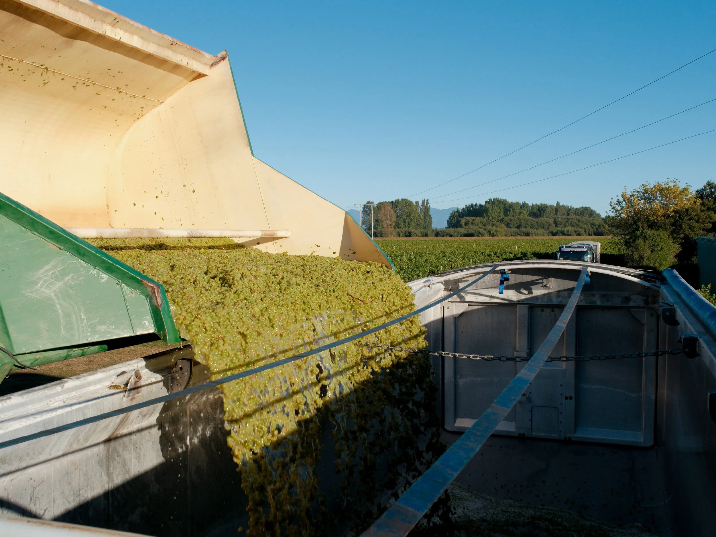 Harvest Blog-17.jpg