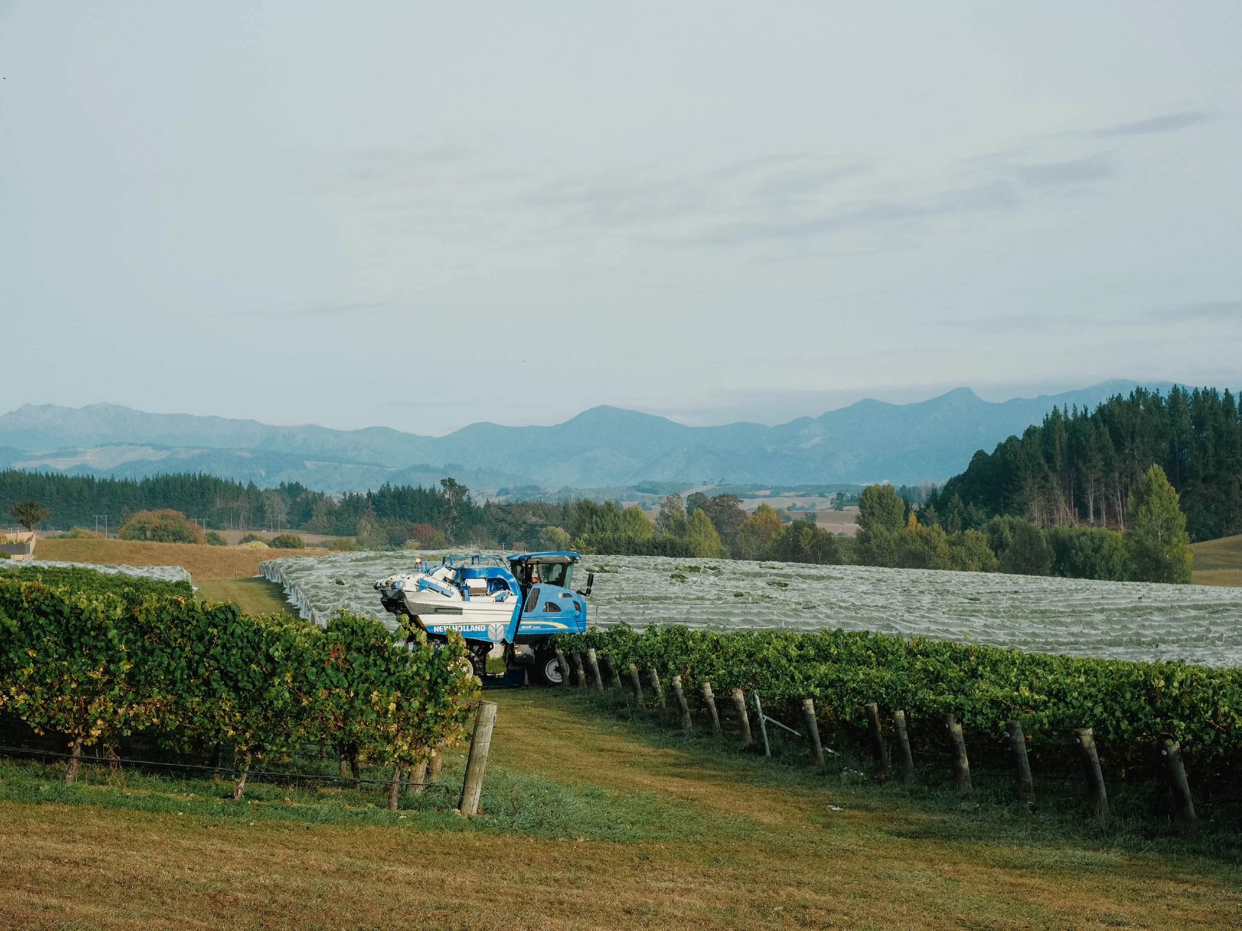 Harvest Blog-18.jpg