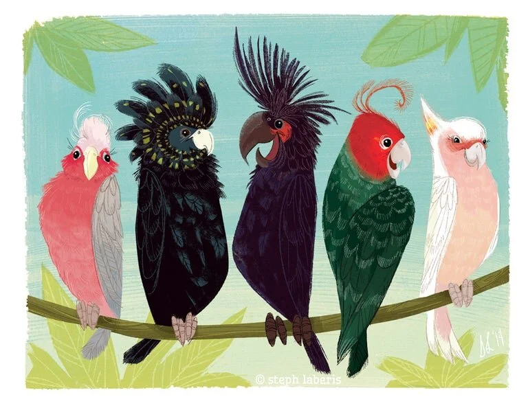 cockatoos.jpg