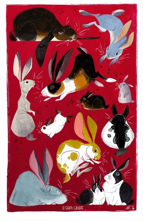 laberis_bunnies.jpg
