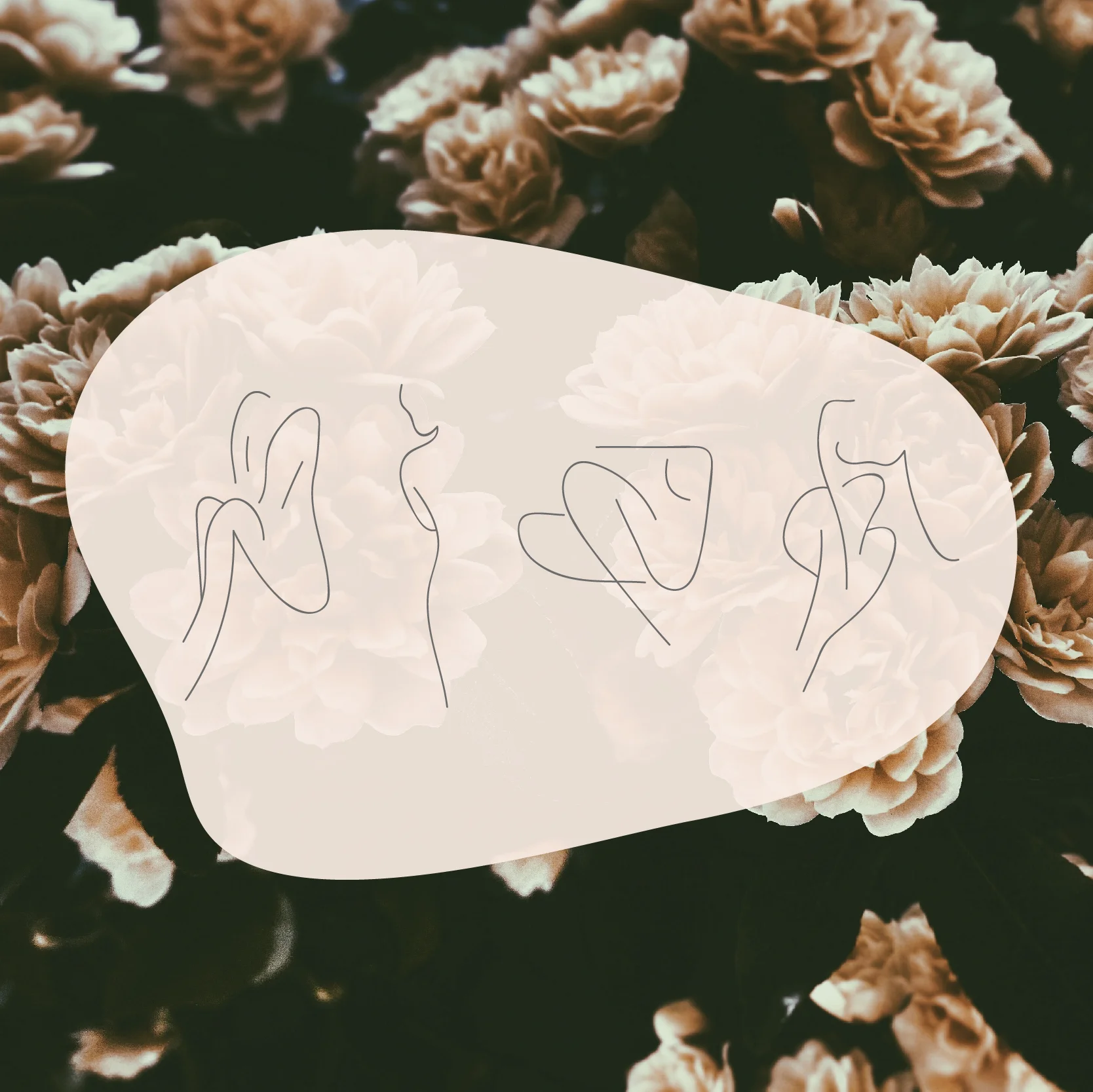dew branding-01.jpg