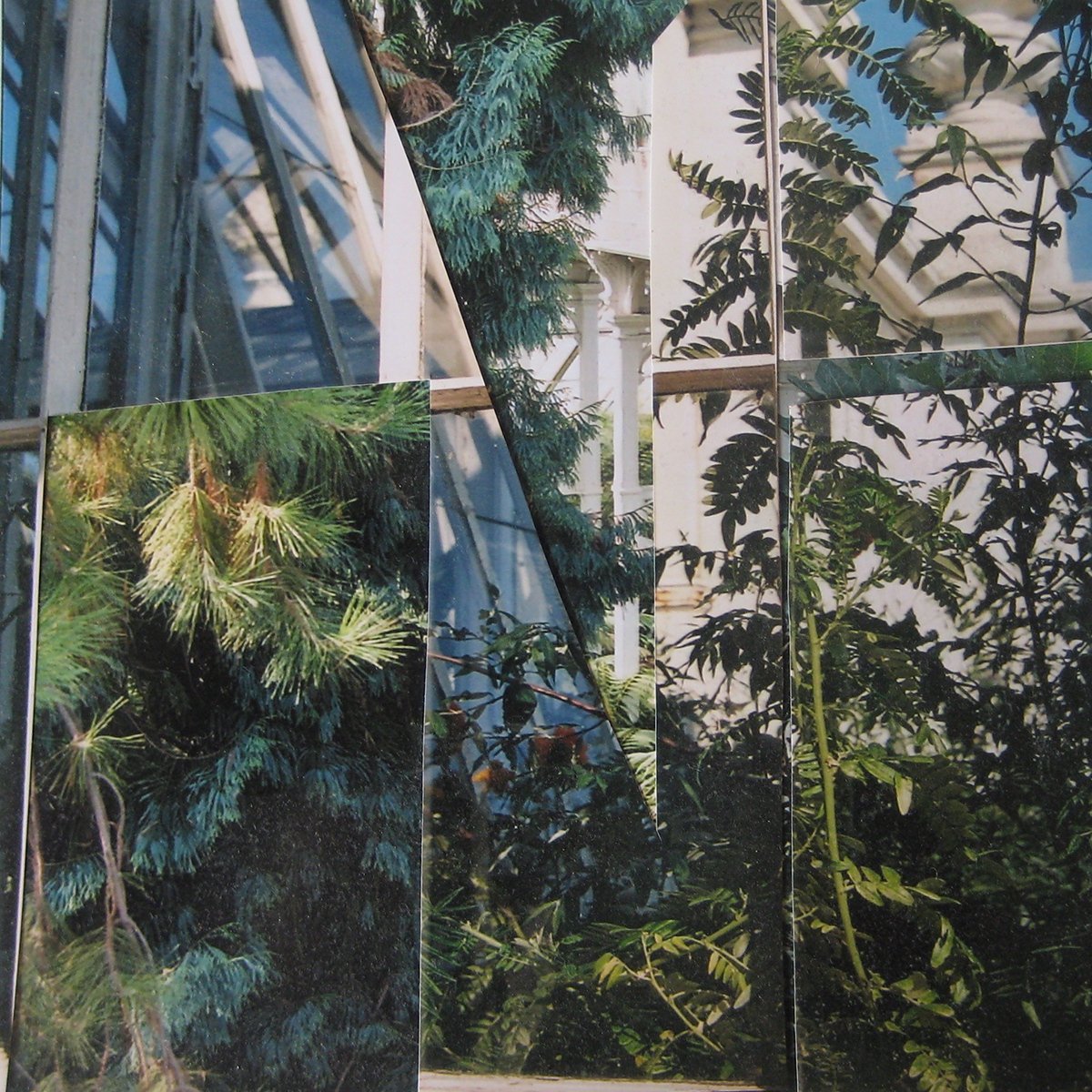Tara Shield Temperate House # 1 2014.jpeg