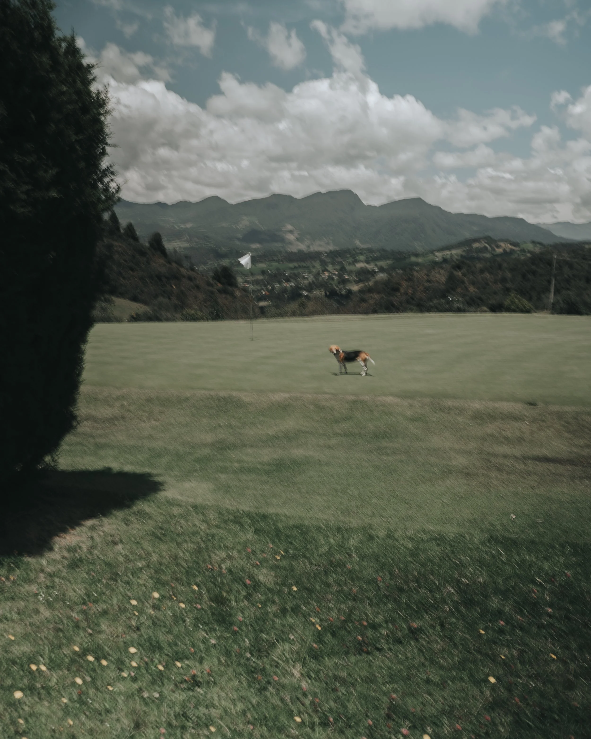 GoldenSoulGolf-Website-Gallery6.jpg
