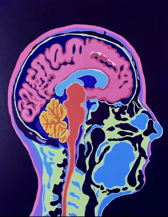 NICC's Holly Freeman and Xander Atalay Named 2024 Mass General Research Institute Image Awards Finalists