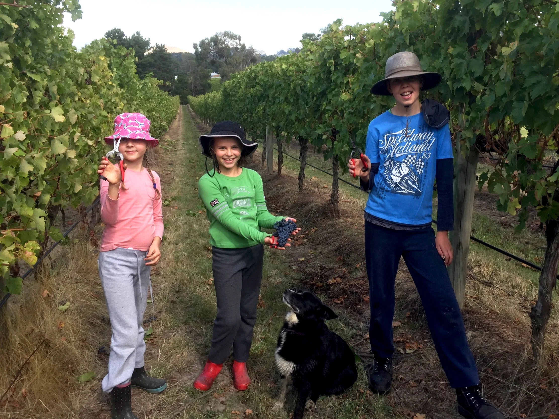 3 picking kids.JPG