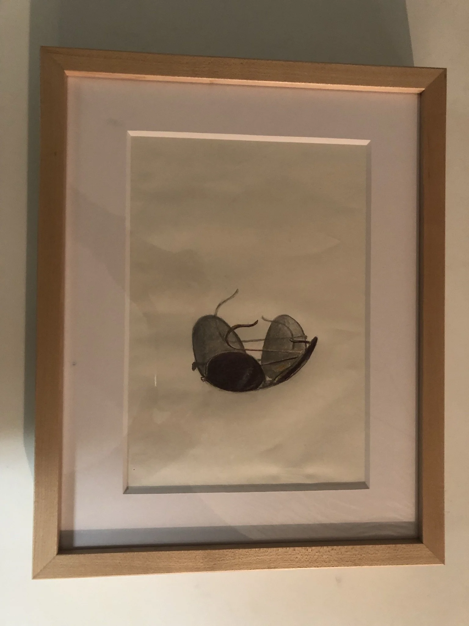 Father's Aviator Glasses