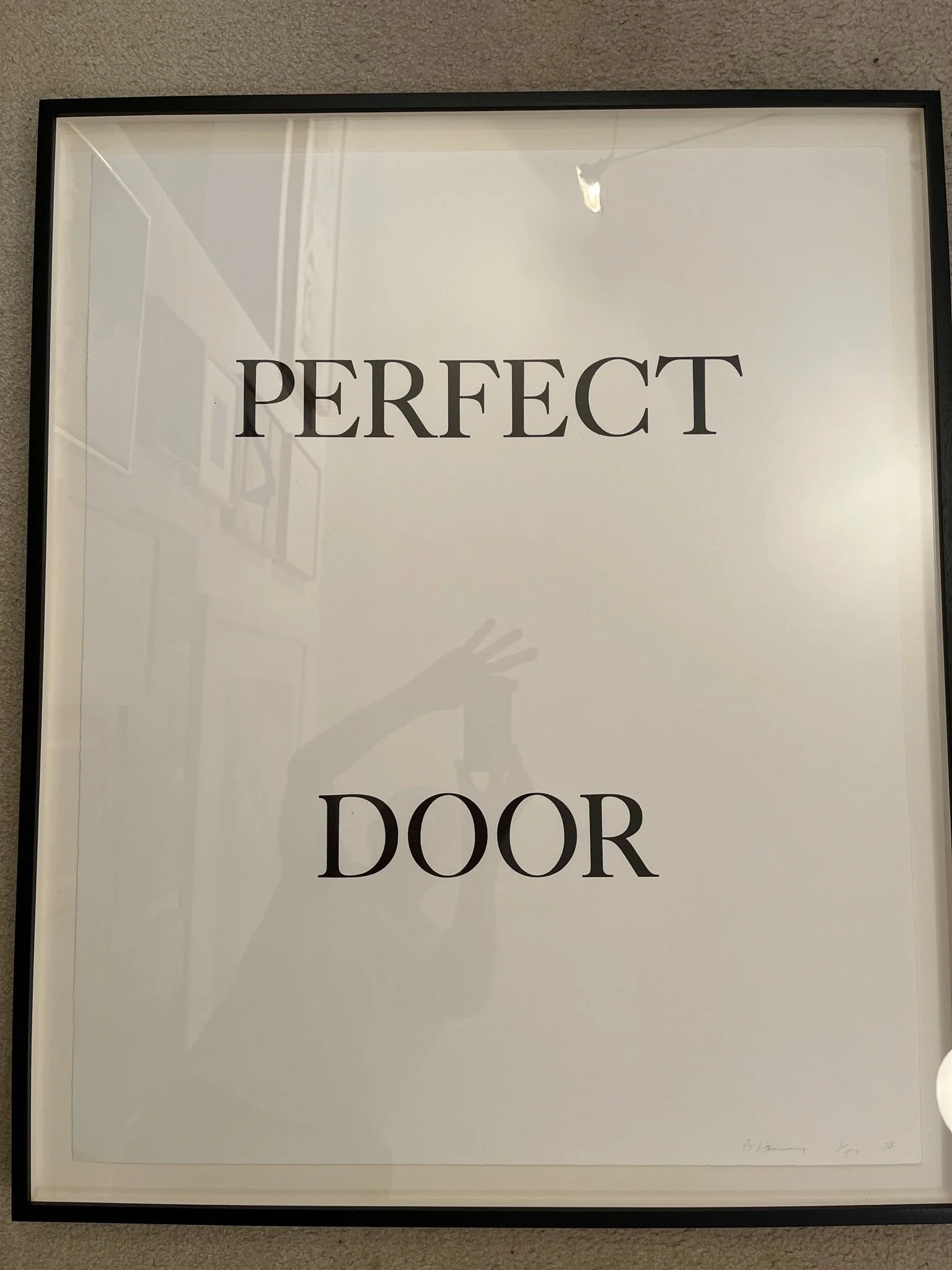 Perfect Door