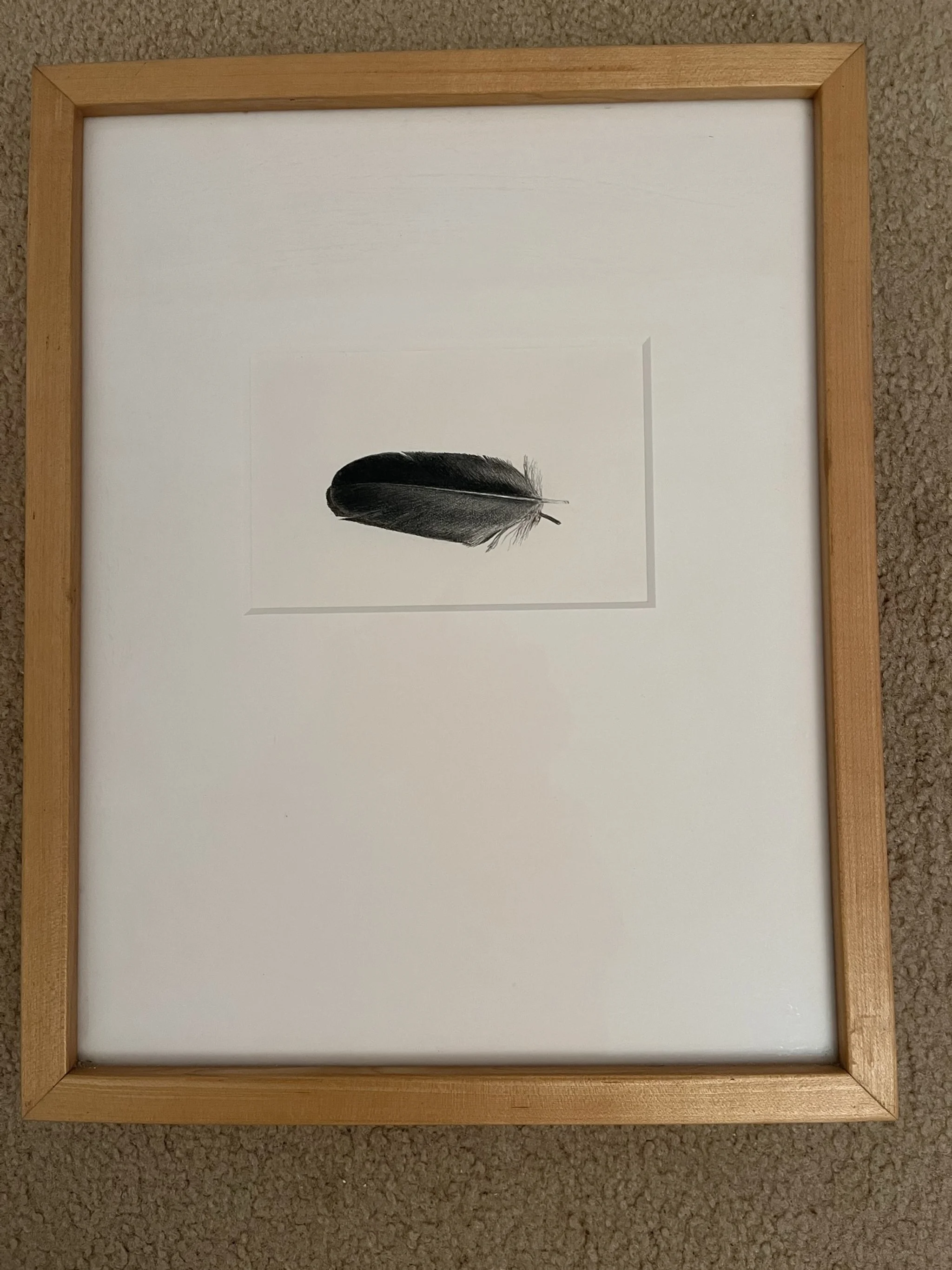 Crow Down Feather