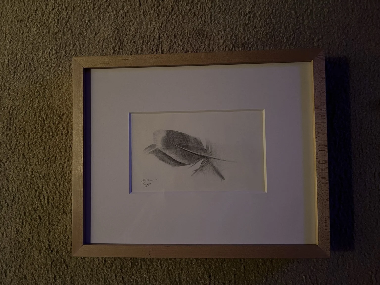 Seagull Wing Feather 2