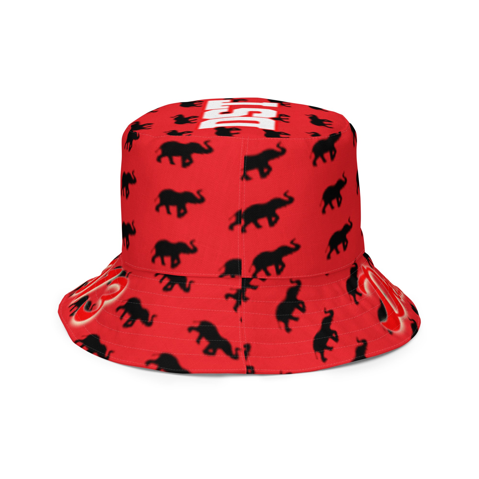 all-over-print-reversible-bucket-hat-white-right-outside-684ae22517cee.jpg
