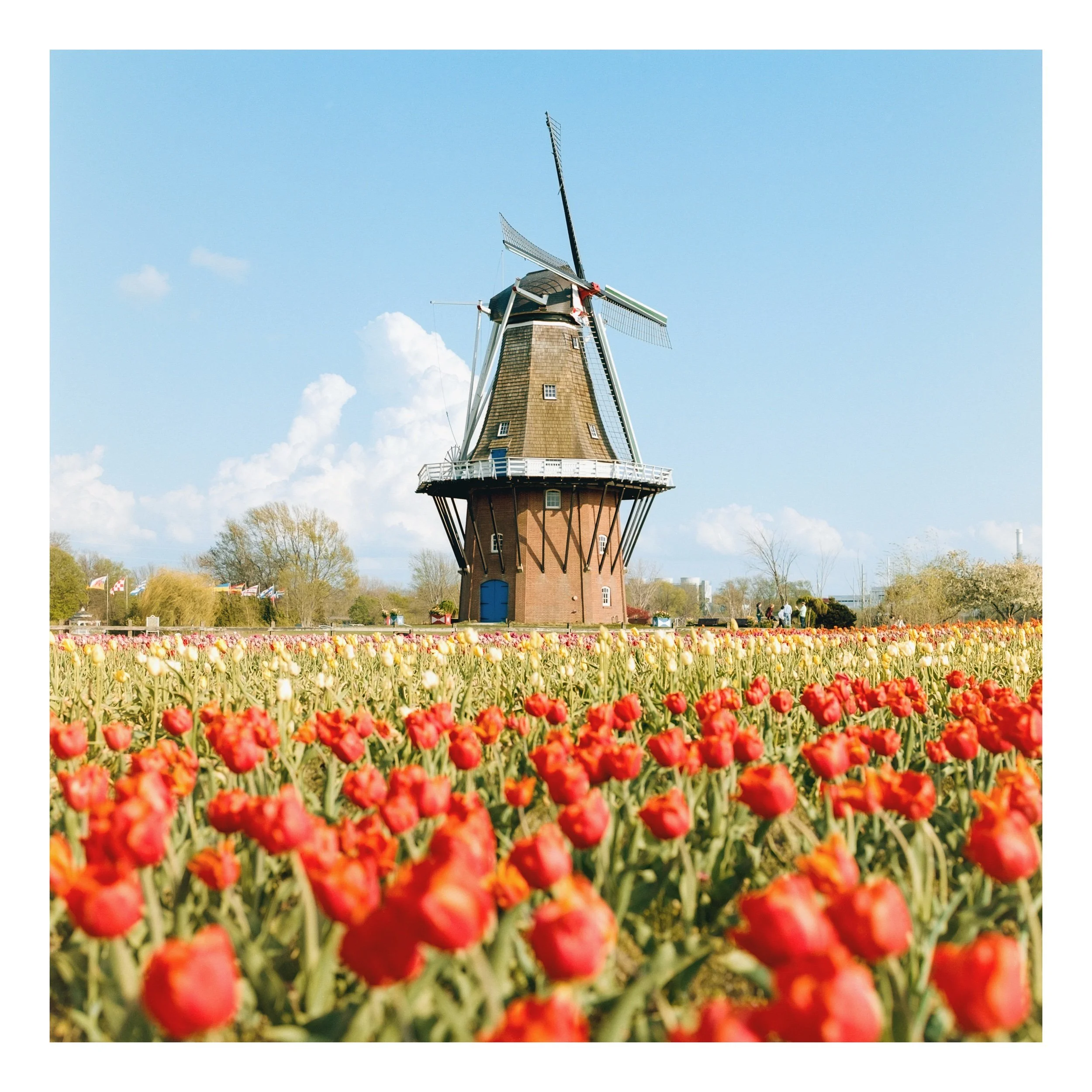 WindmillIsland-4 Edited.jpeg