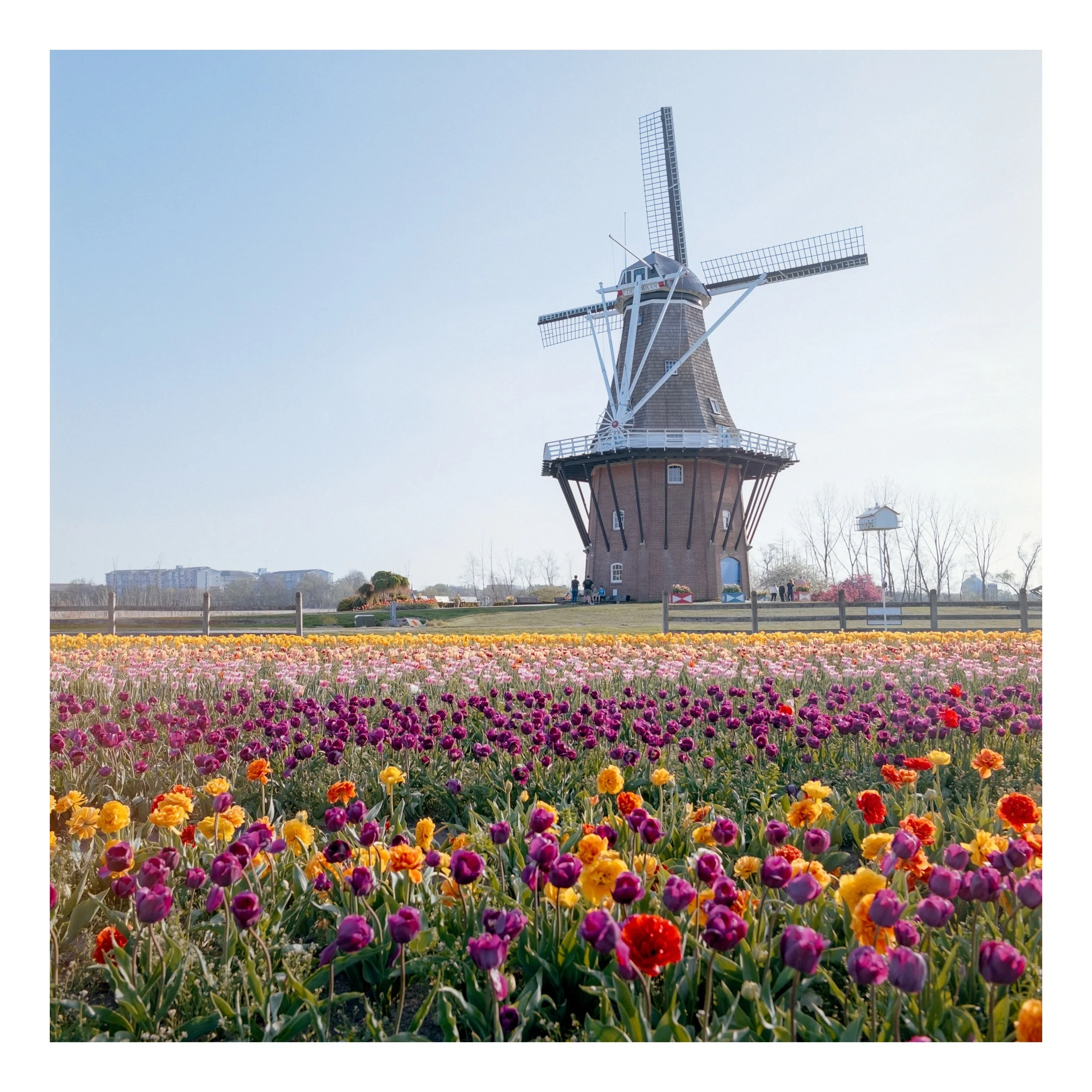 WindmillIsland-2 Edited.jpeg