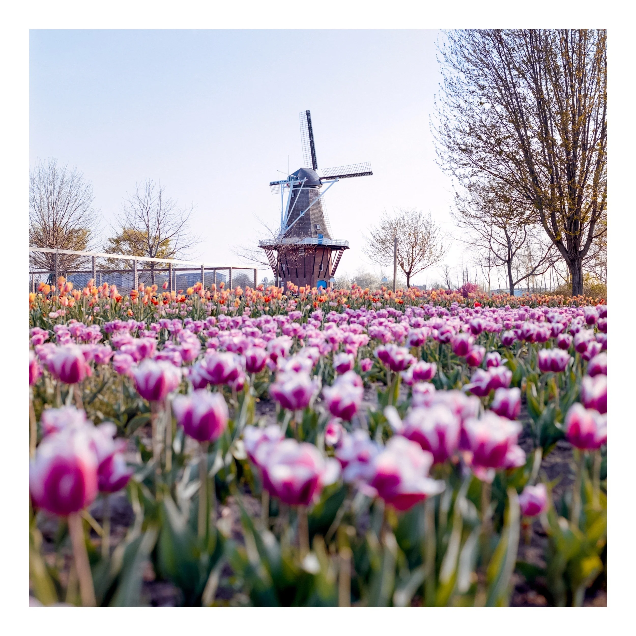 WindmillIsland-3 Edited.jpeg