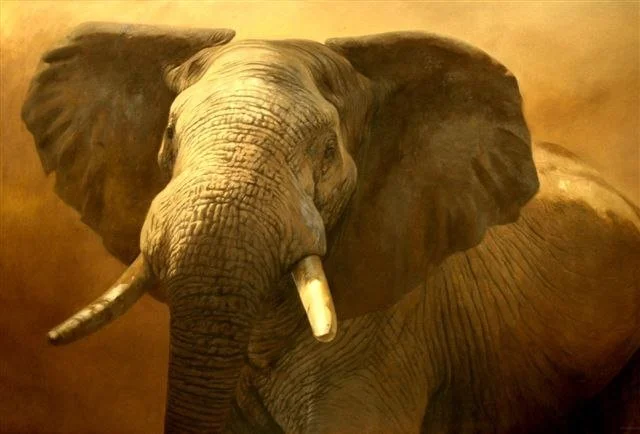 An elephant, a swan and a donkey making magic at Merlin's place