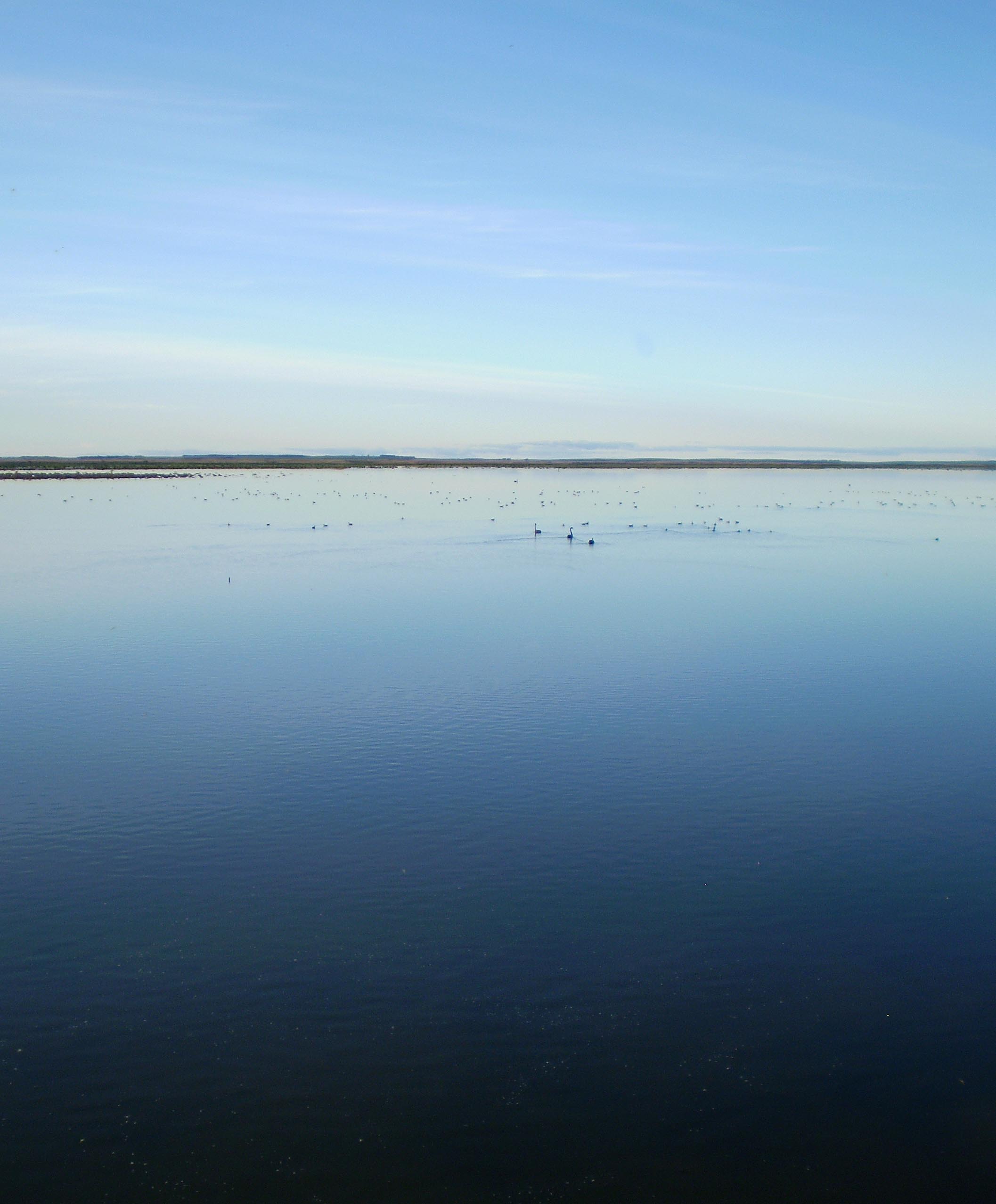  The Coorong #2 - 2010 