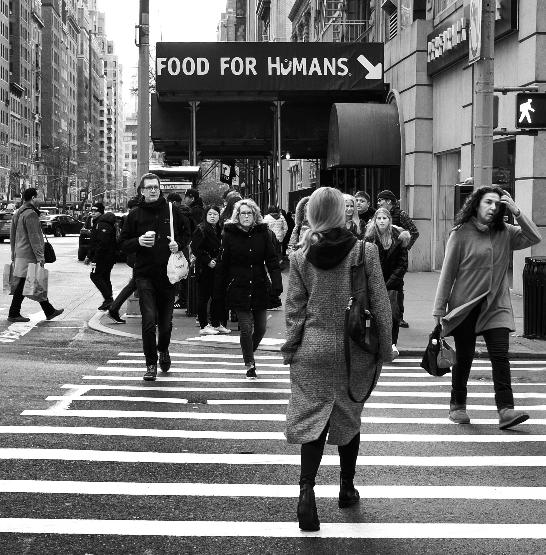 Food for Humans?, 7th Ave, NYC 2019