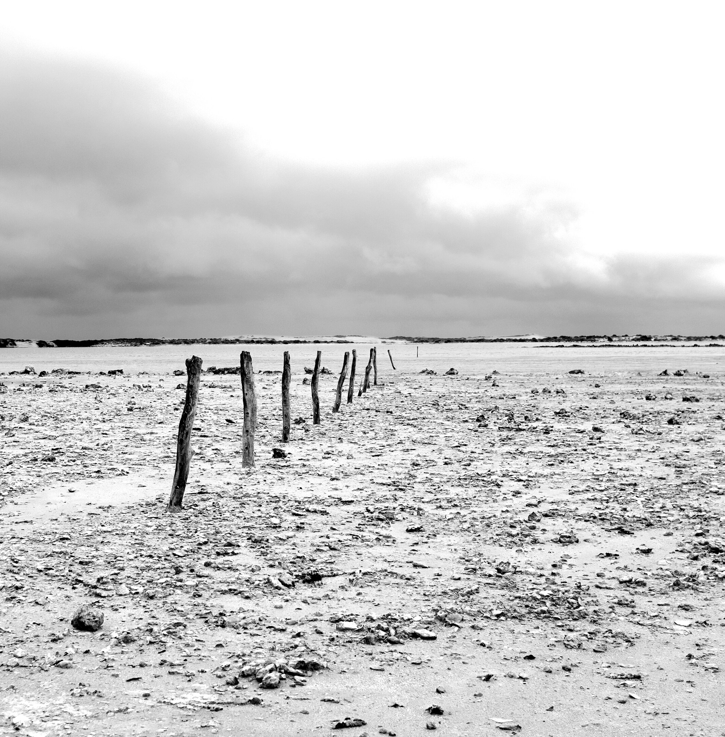 Salt Creek, the Coorong Project 2020