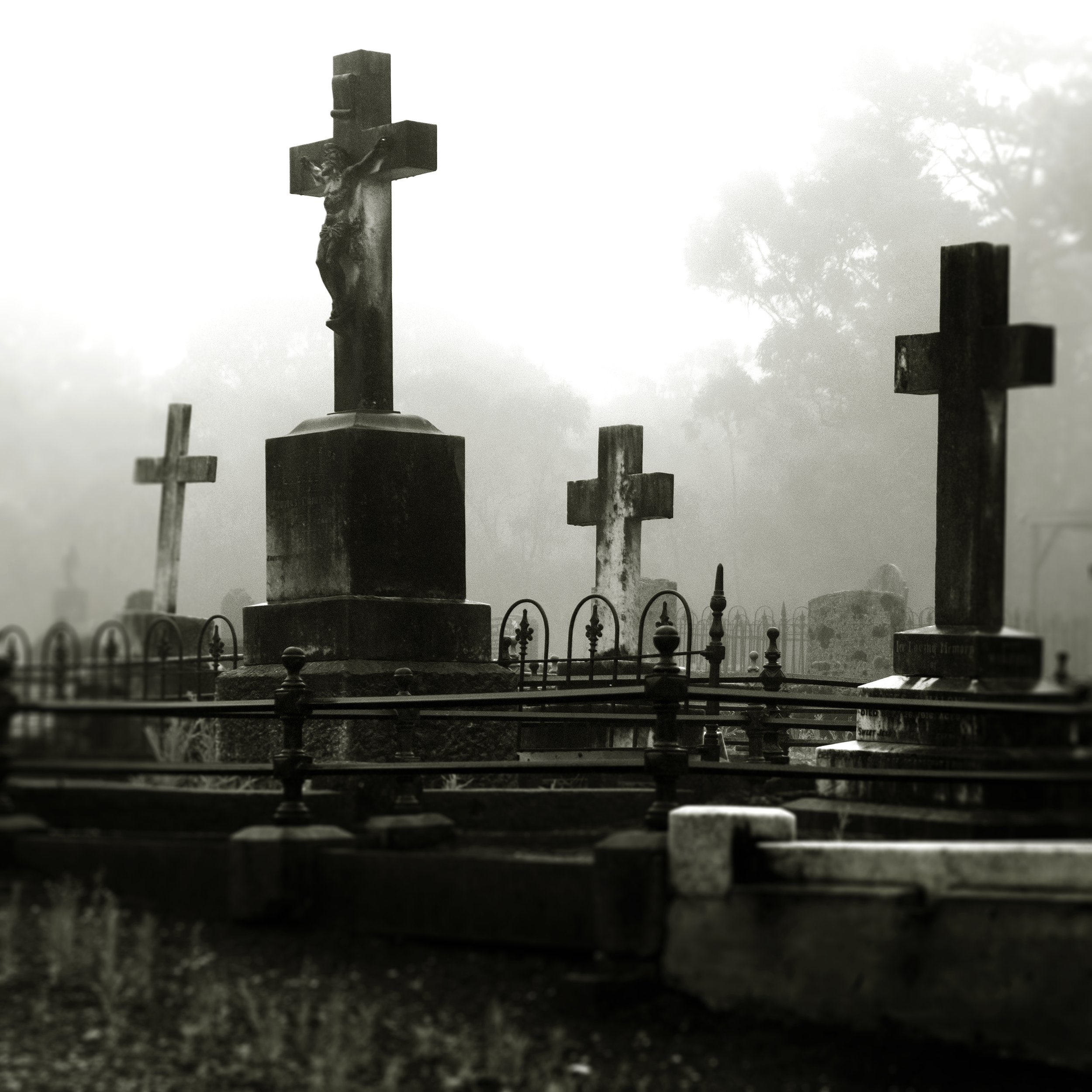 Cemetery in Fog 2023