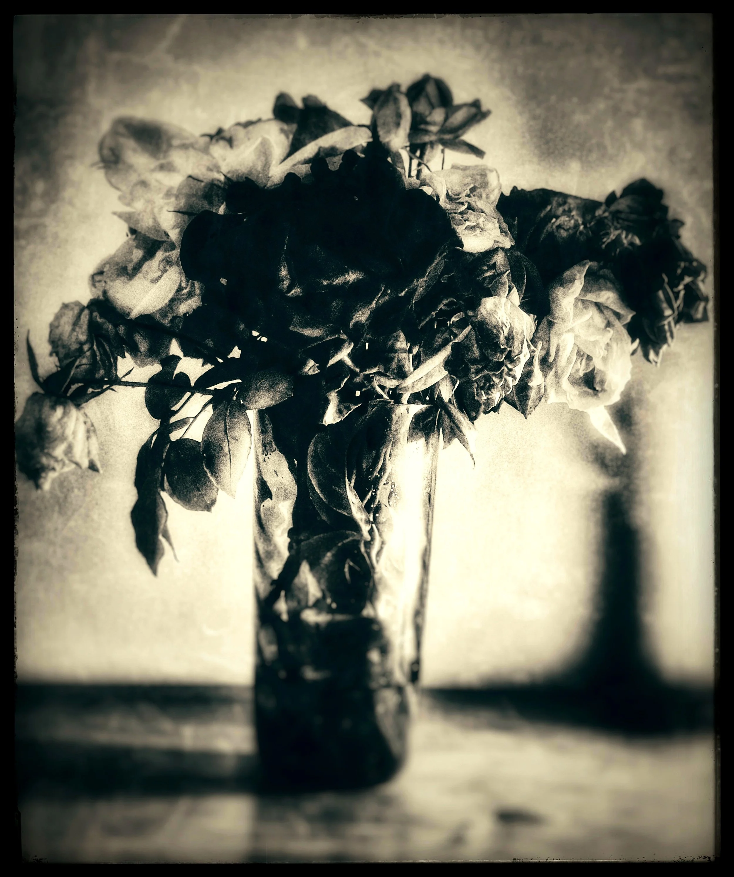 Dead Flowers 2025