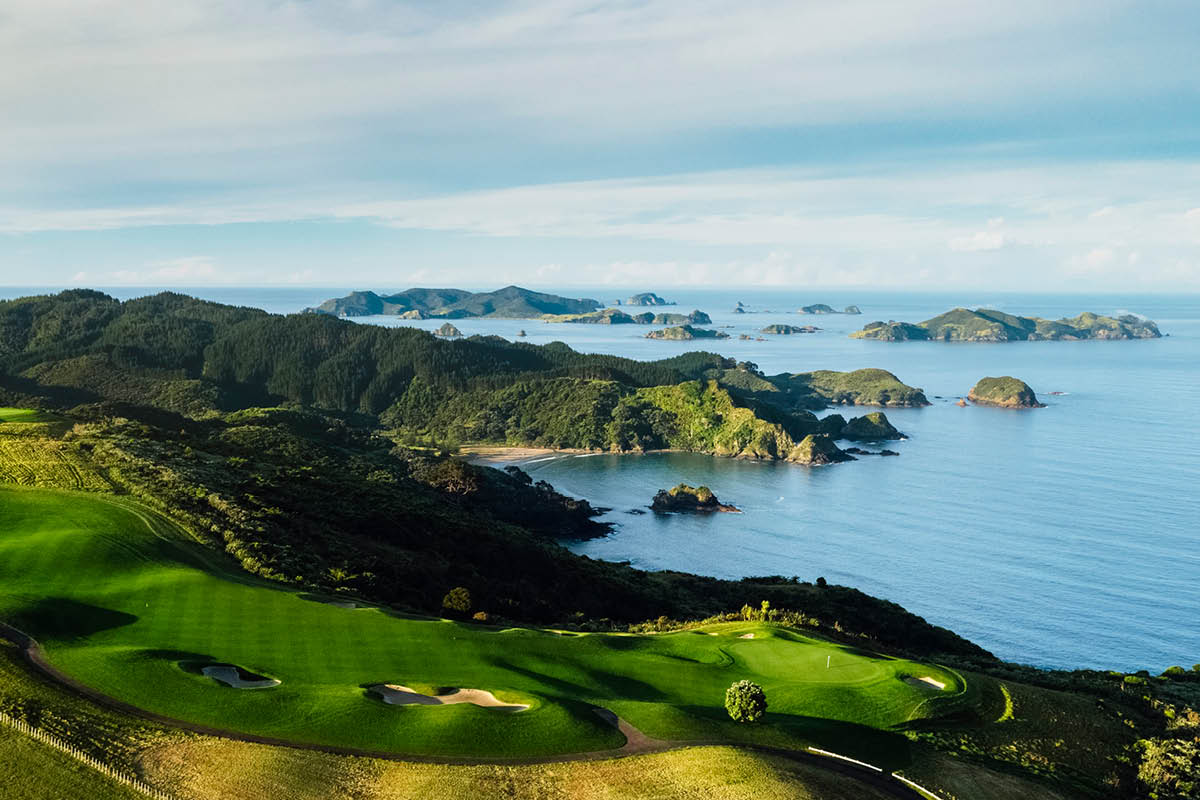 GT Norway - Exp NZ Kauri.jpg