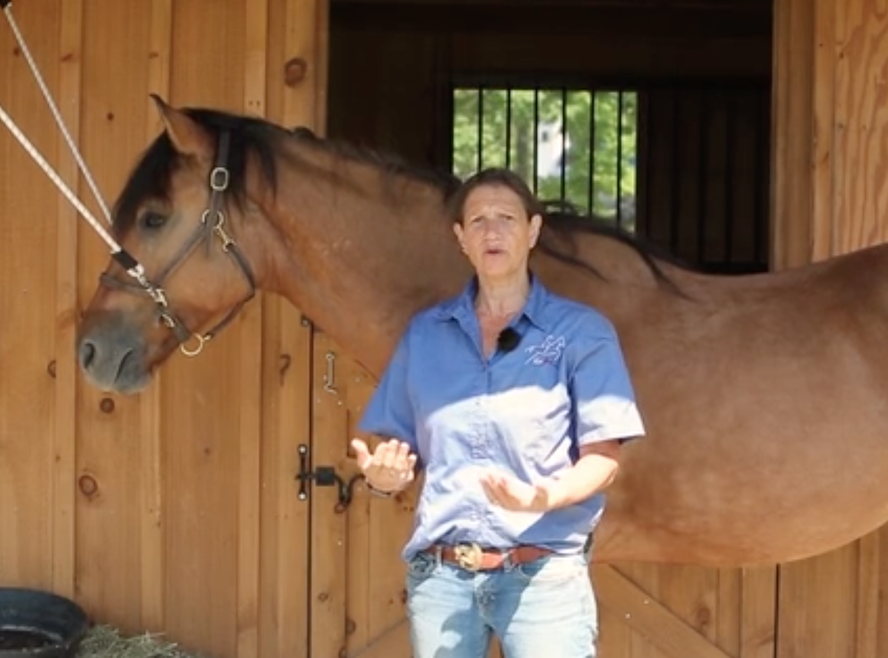 Session 4 – Tools &amp; The Art of Touch