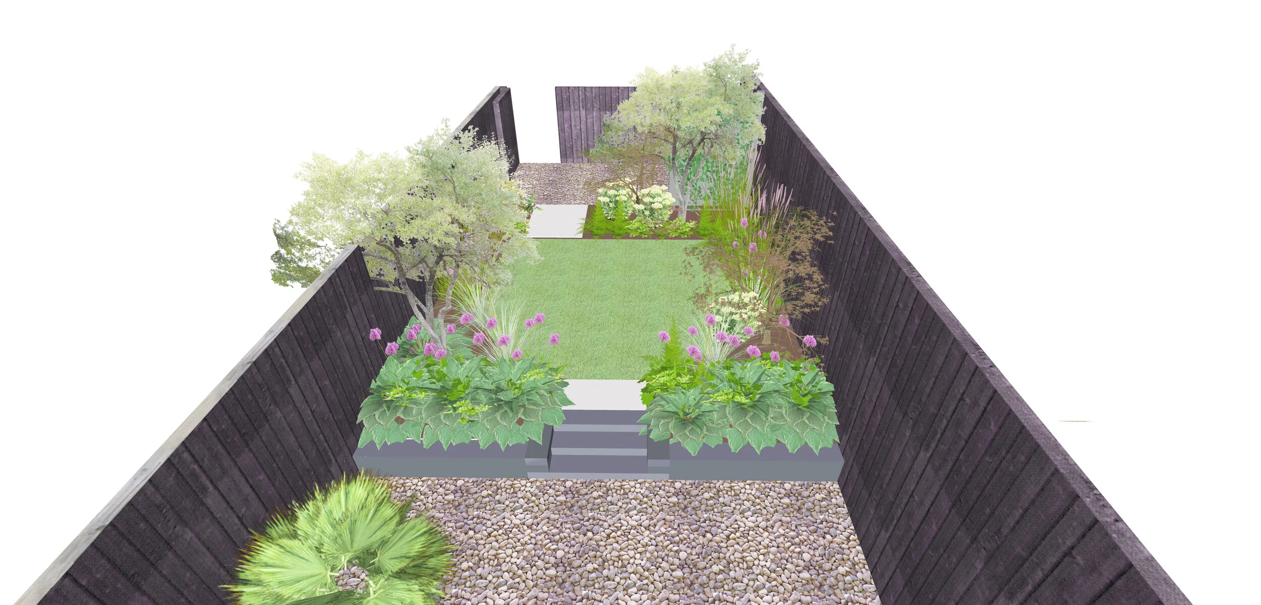 Spring Alliums and Ferns