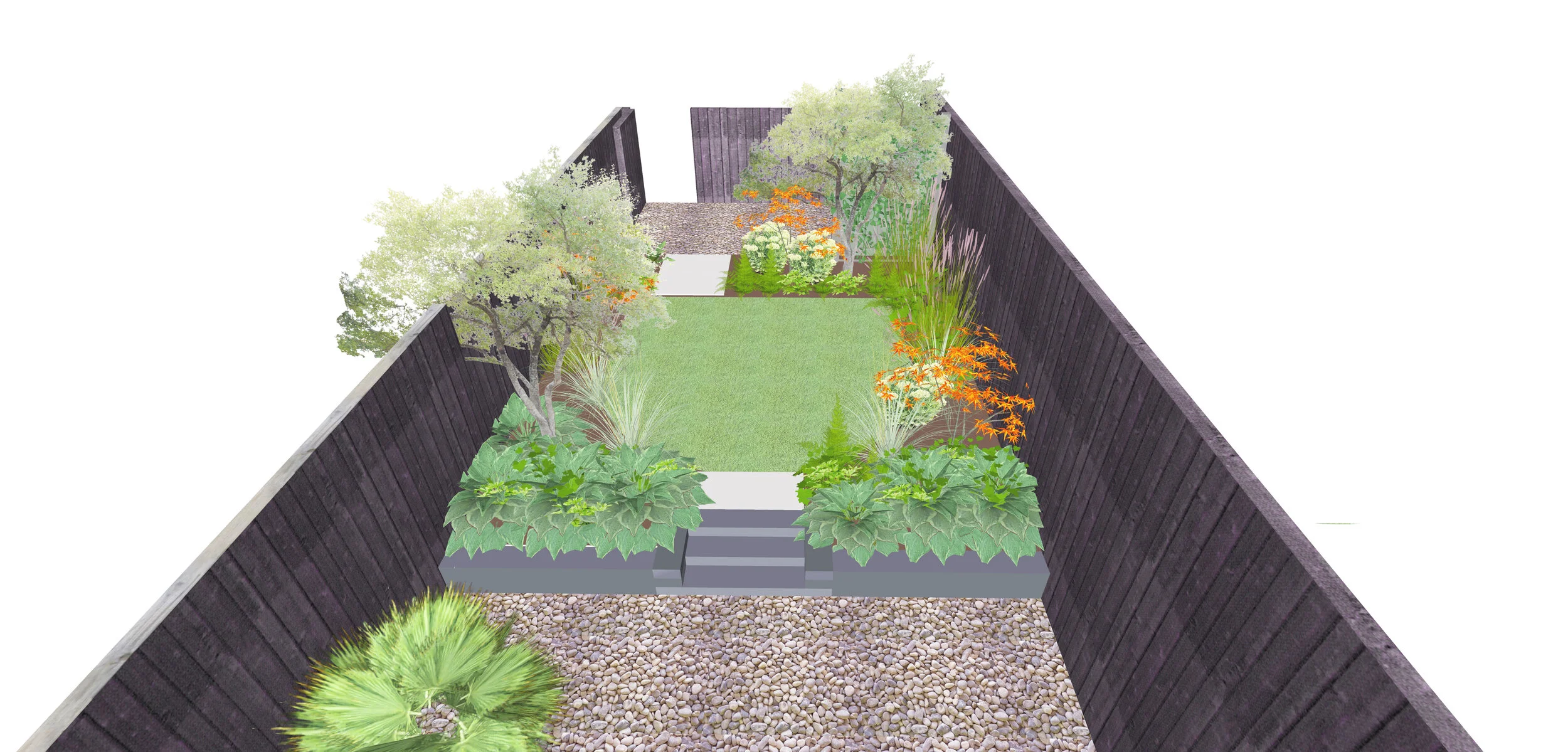 Autumn Acer and Miscanthus