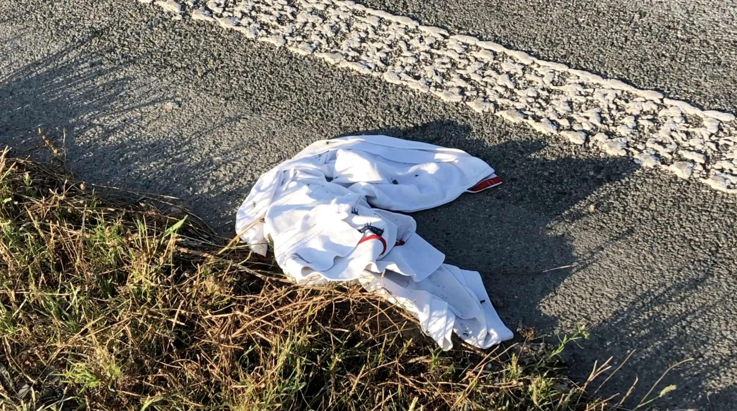 Screenshot 2020-10-28 at 09.03.19.png