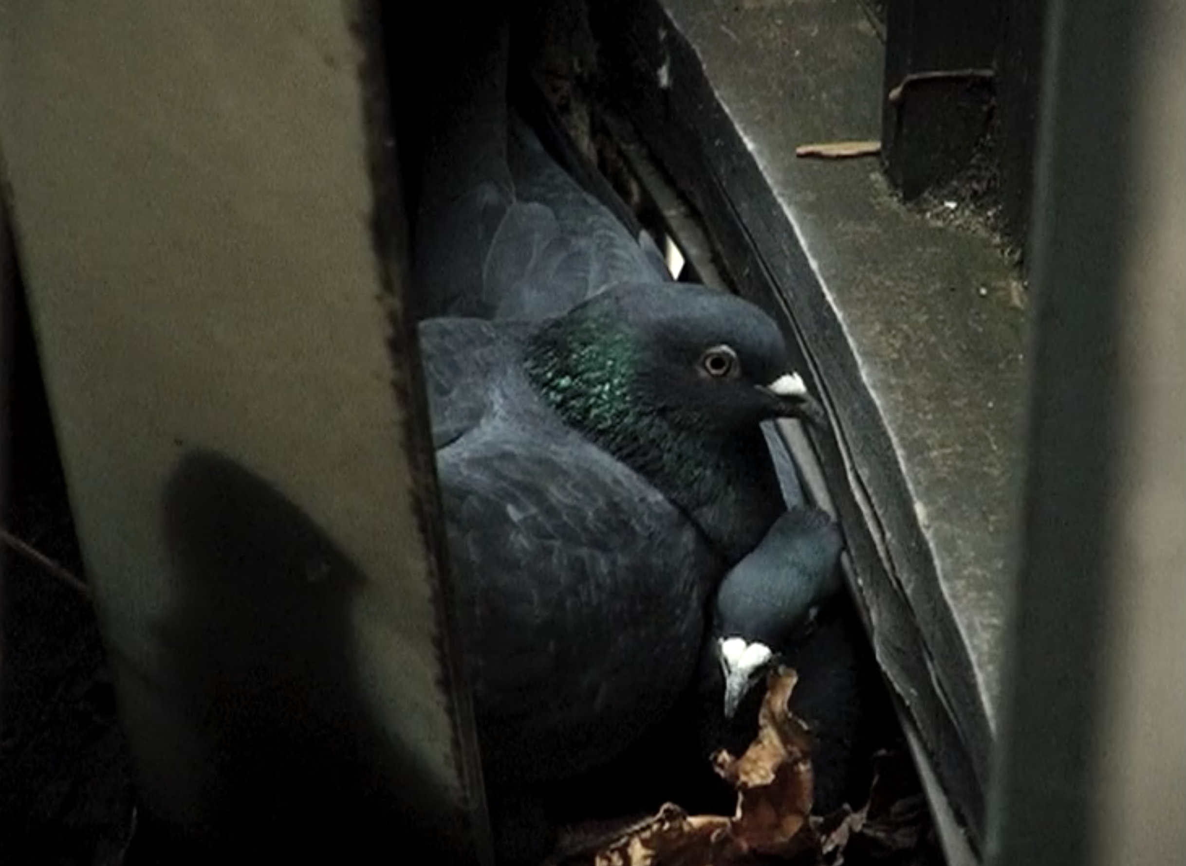 Screenshot 2020-10-27 at 19.49.21.png