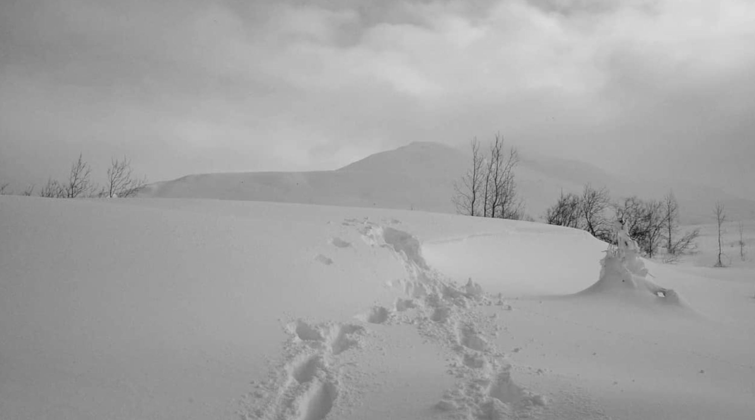 Screenshot 2020-10-27 at 19.52.16.png