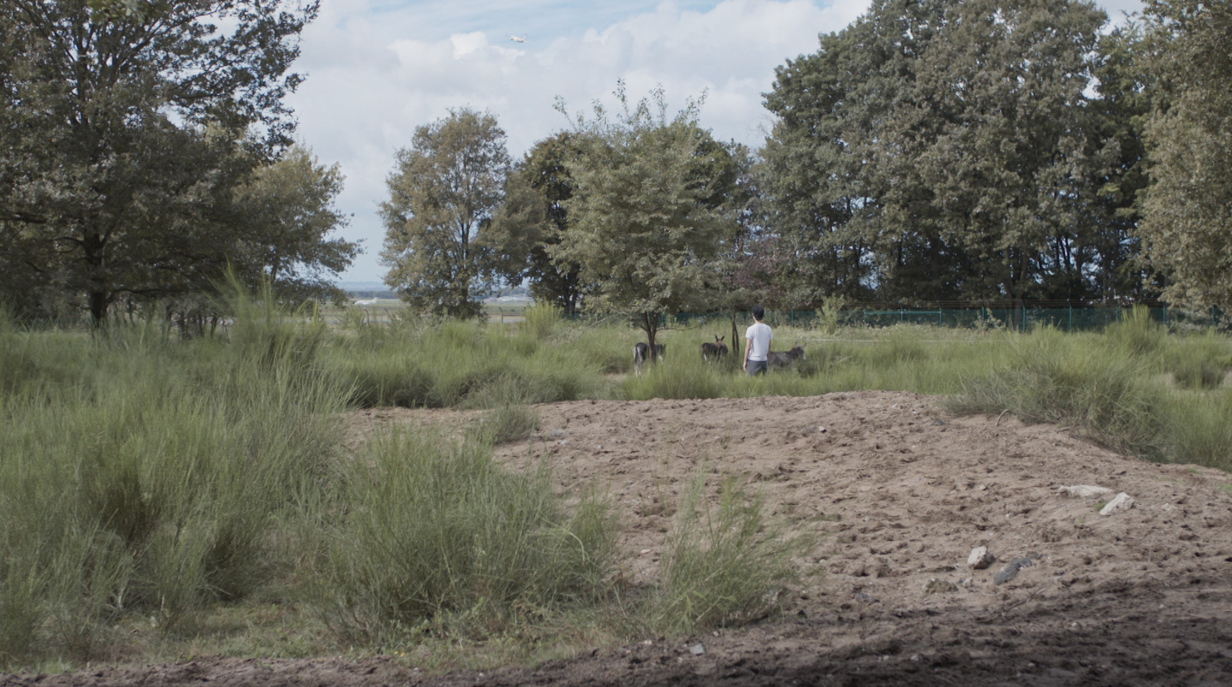 Screenshot 2026-01-21 at 15.36.44.png