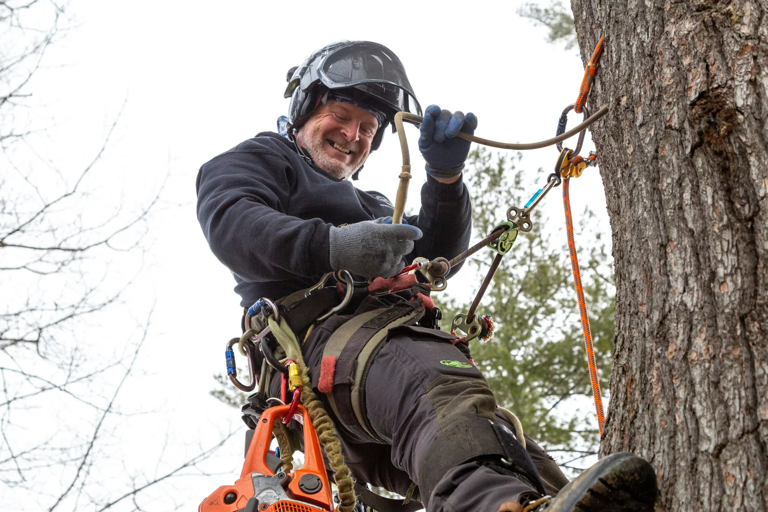 Preservation Tree NH LLC