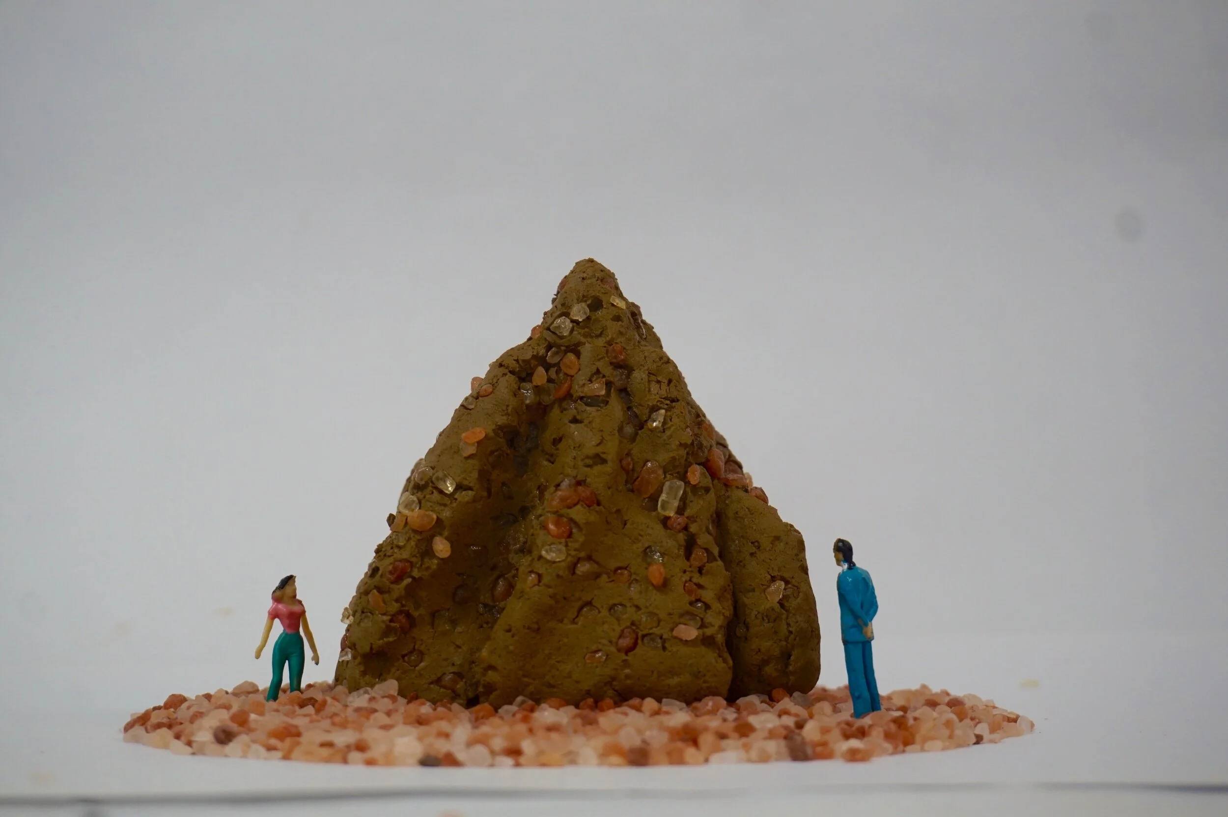 Termitaries draws upon ideas of transience as explored by artists Robert Smithson, Andy Goldsworthy and Richard Long.